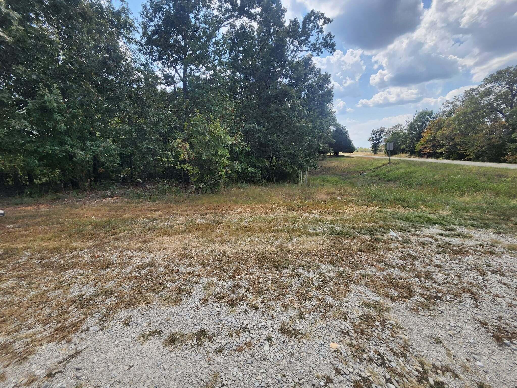Photo 7 - Land for sale – Tbd  Old Hwy 60   Norwood, MO