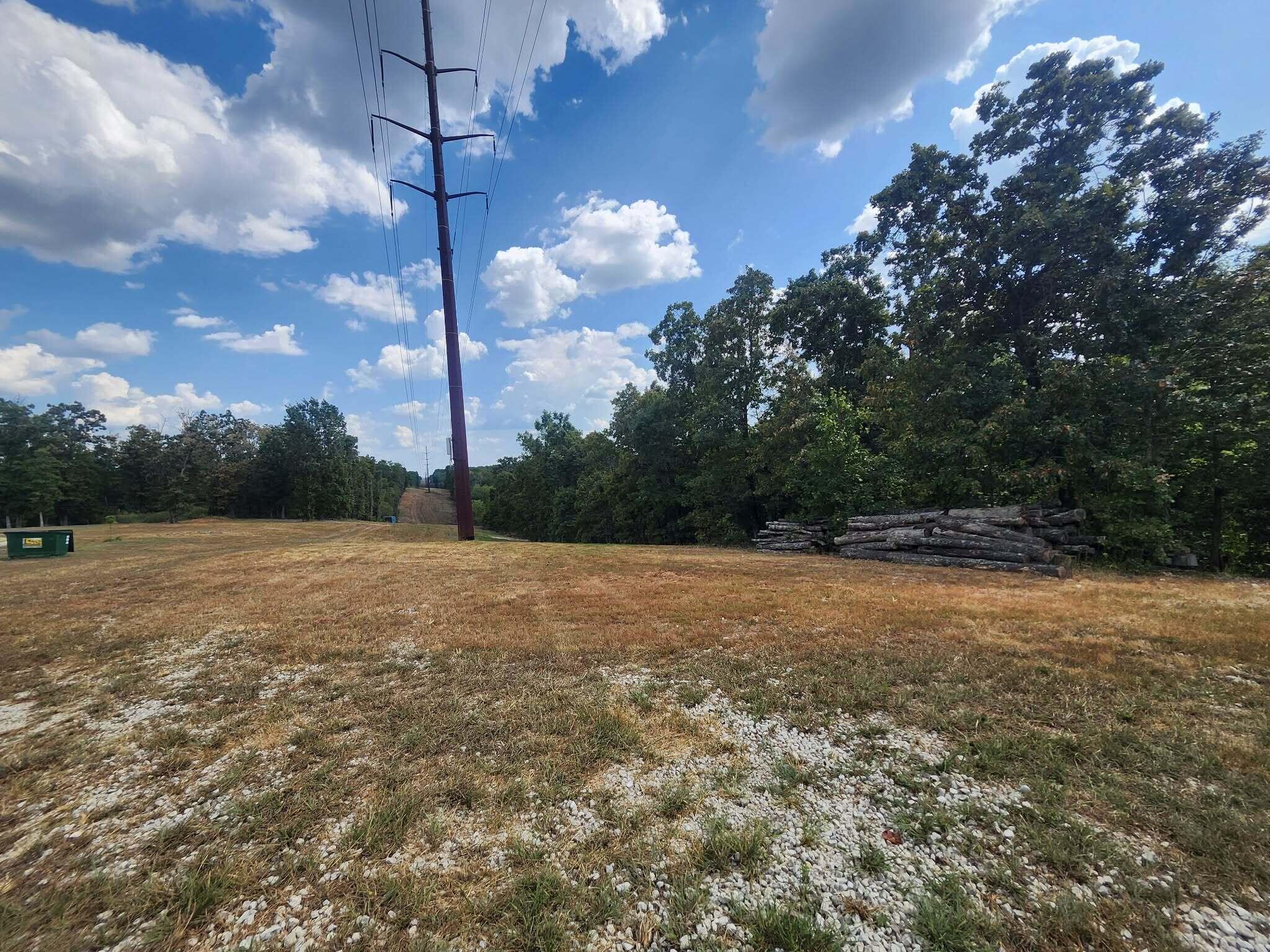 Photo 9 - Land for sale – Tbd  Old Hwy 60   Norwood, MO