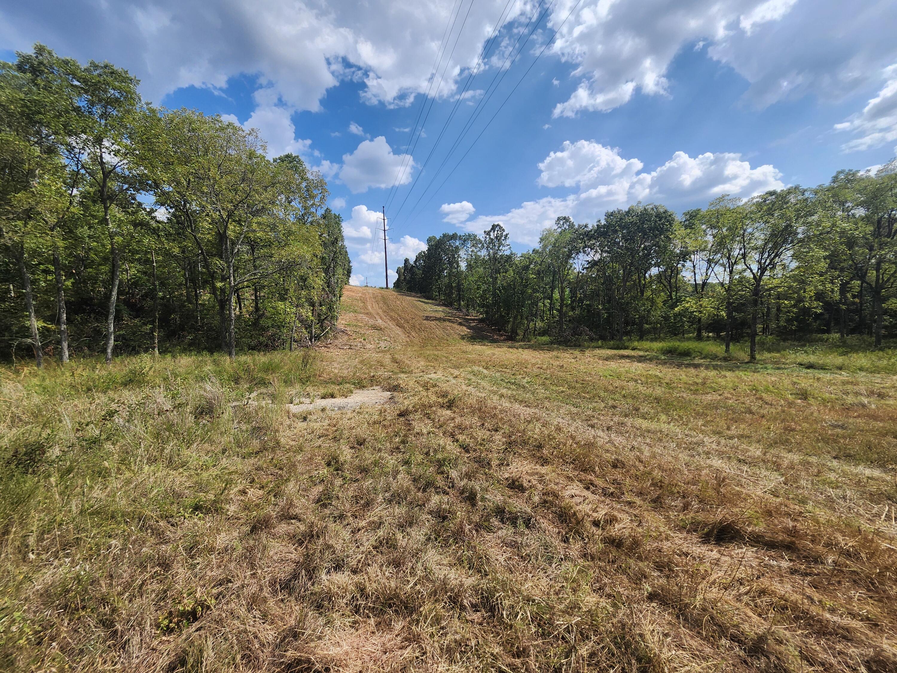 Photo 3 - Land for sale – Tbd  Old Hwy 60   Norwood, MO