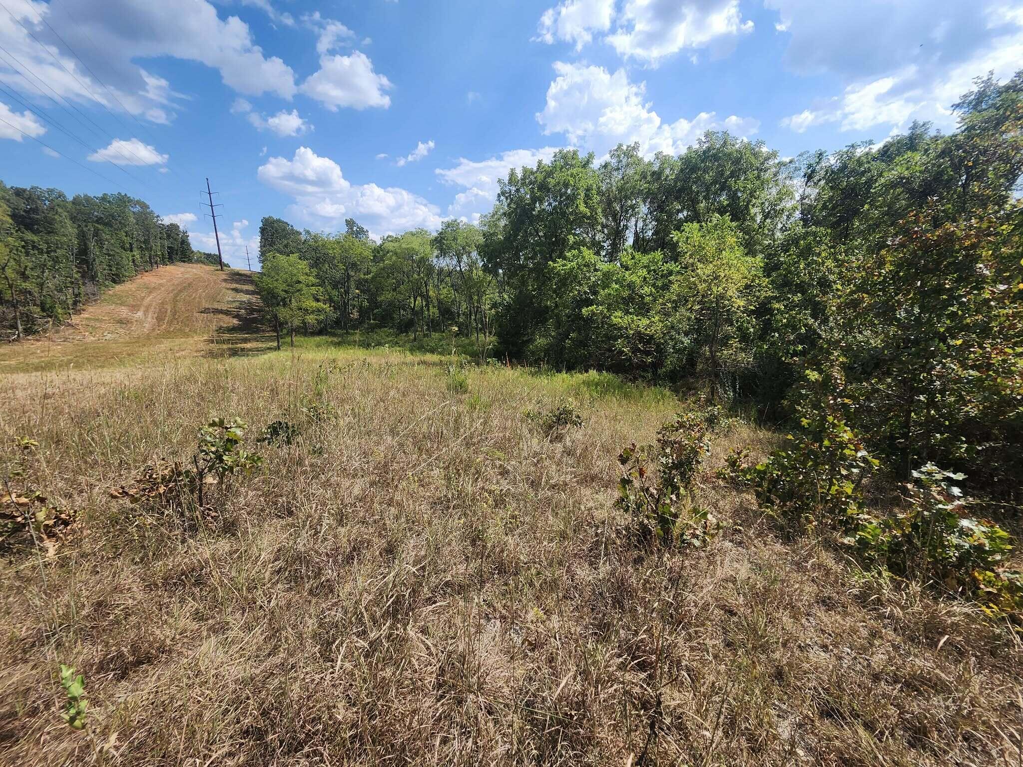 Photo 10 - Land for sale – Tbd  Old Hwy 60   Norwood, MO