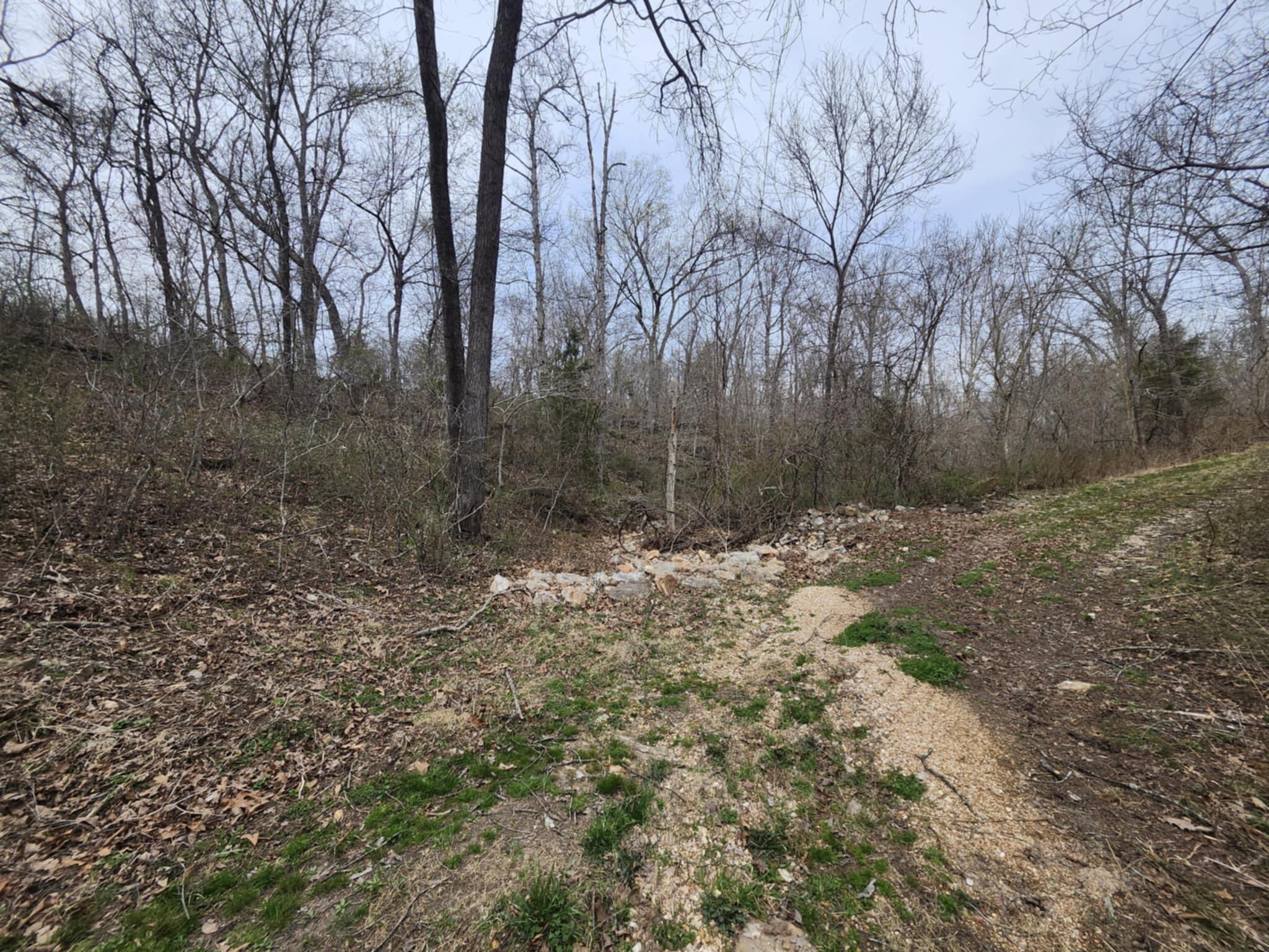 Photo 4 - Land for sale – Tbd  Old Hwy 60   Norwood, MO