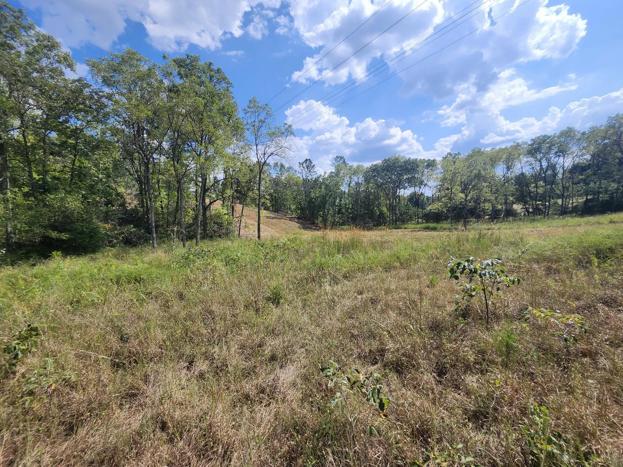 Photo 12 - Land for sale – Tbd  Old Hwy 60   Norwood, MO