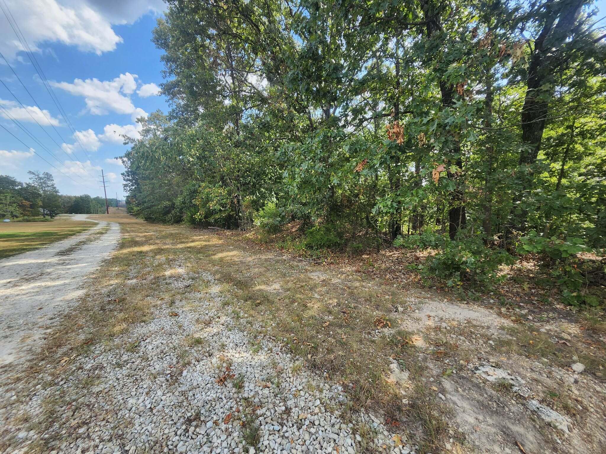 Photo 8 - Land for sale – Tbd  Old Hwy 60   Norwood, MO