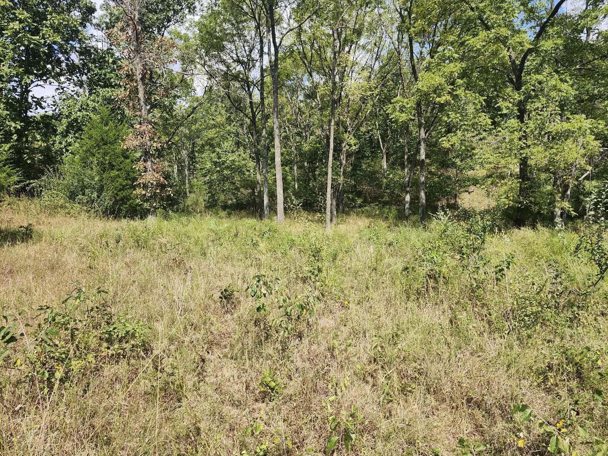 Photo 11 - Land for sale – Tbd  Old Hwy 60   Norwood, MO