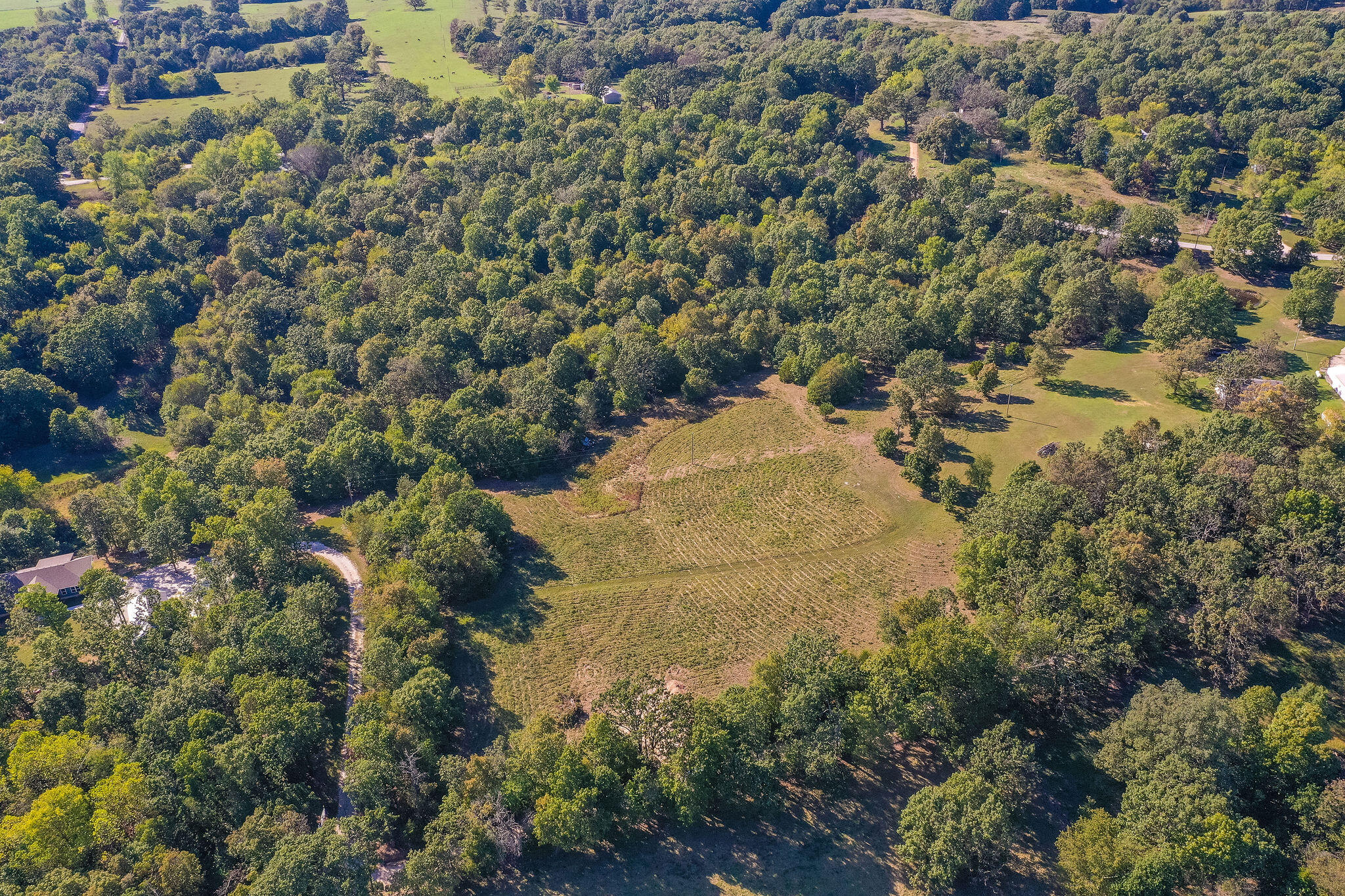 Photo 7 - Land for sale – Tbd  Farm Road 1150   Verona, MO
