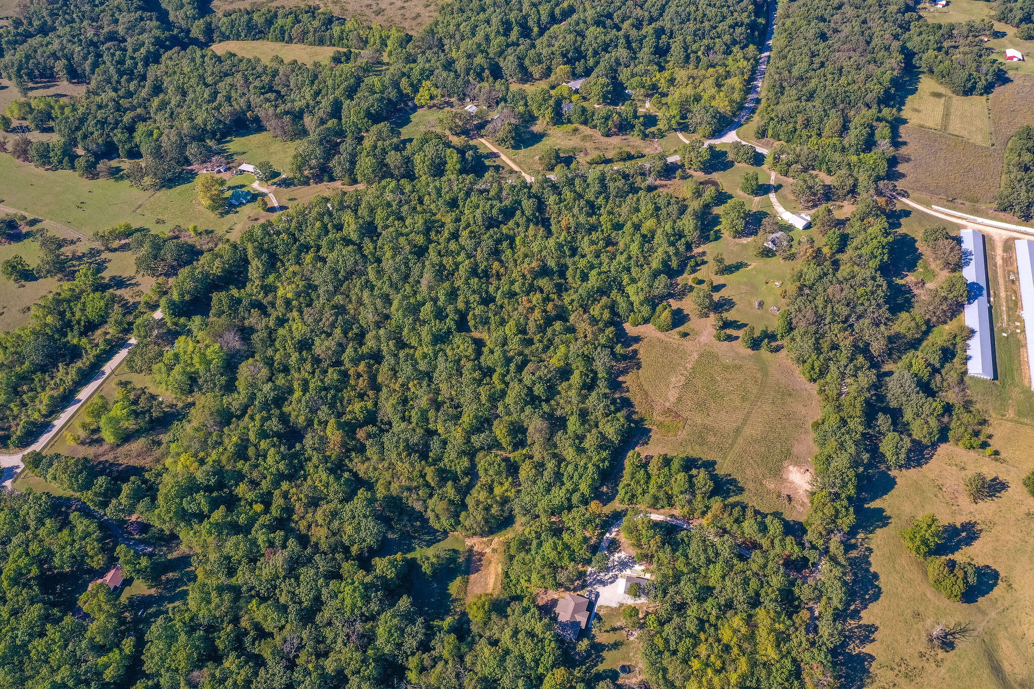 Photo 12 - Land for sale – Tbd  Farm Road 1150   Verona, MO