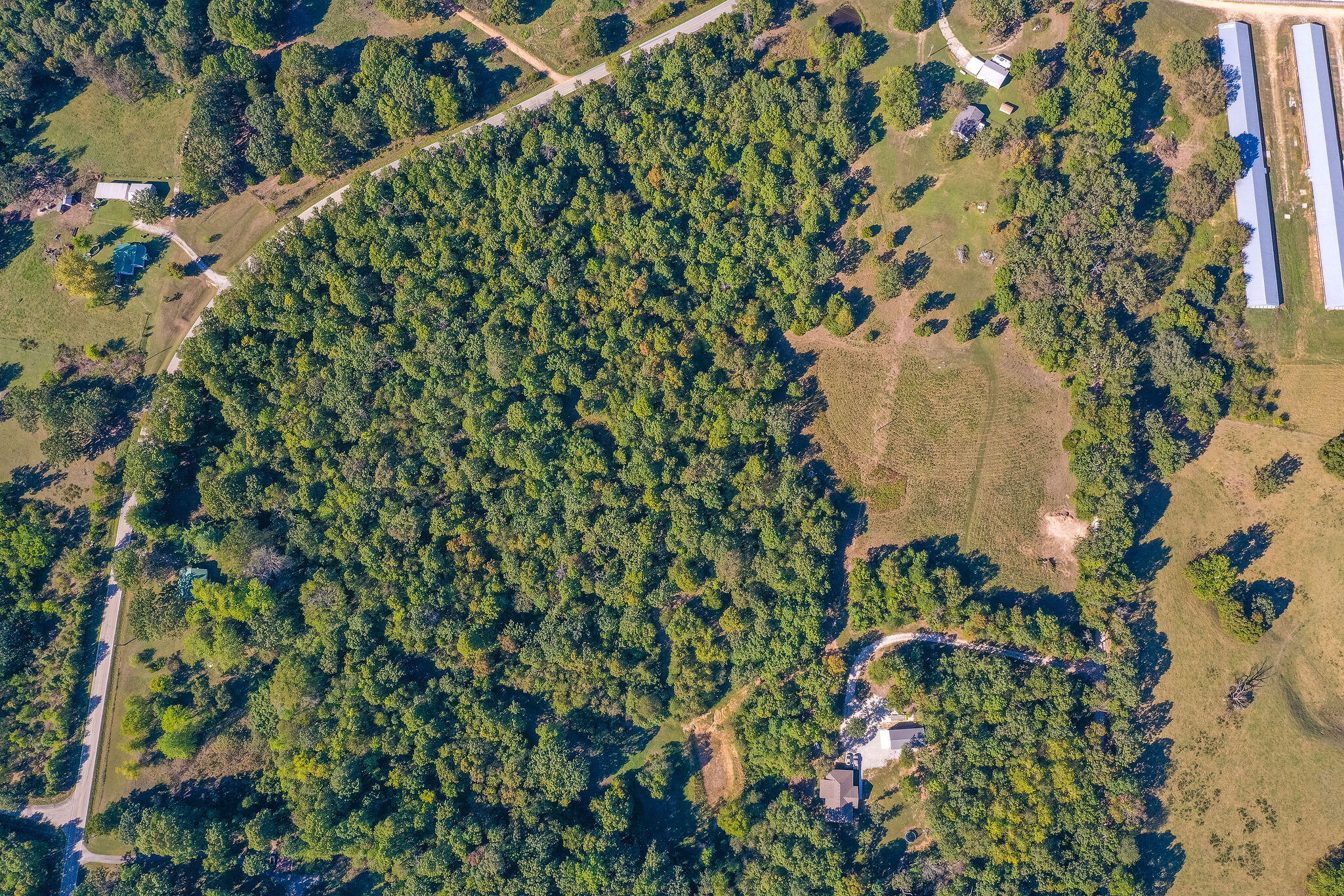 Photo 9 - Land for sale – Tbd  Farm Road 1150   Verona, MO
