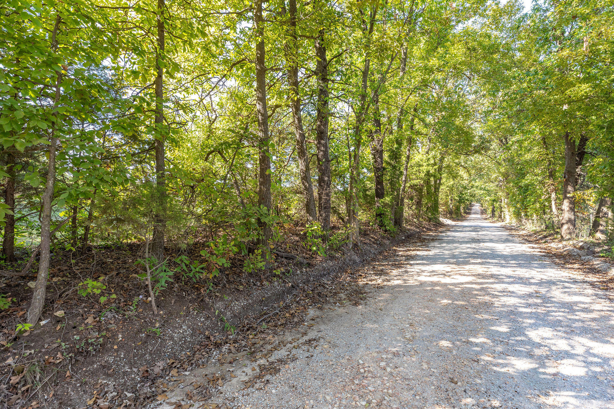 Photo 2 - Land for sale – Tbd  Farm Road 1150   Verona, MO
