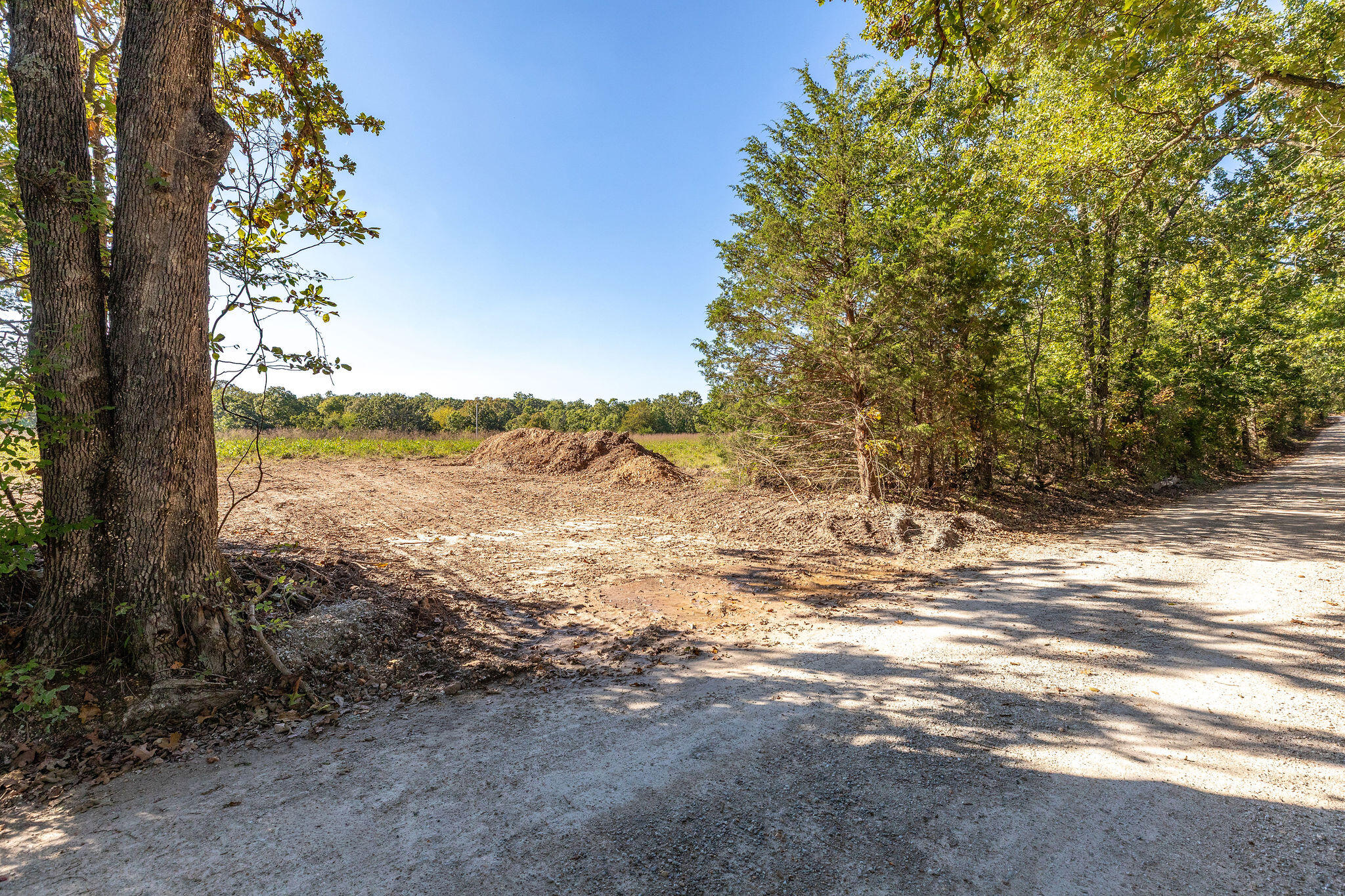 Photo 6 - Land for sale – Tbd  Farm Road 1150   Verona, MO