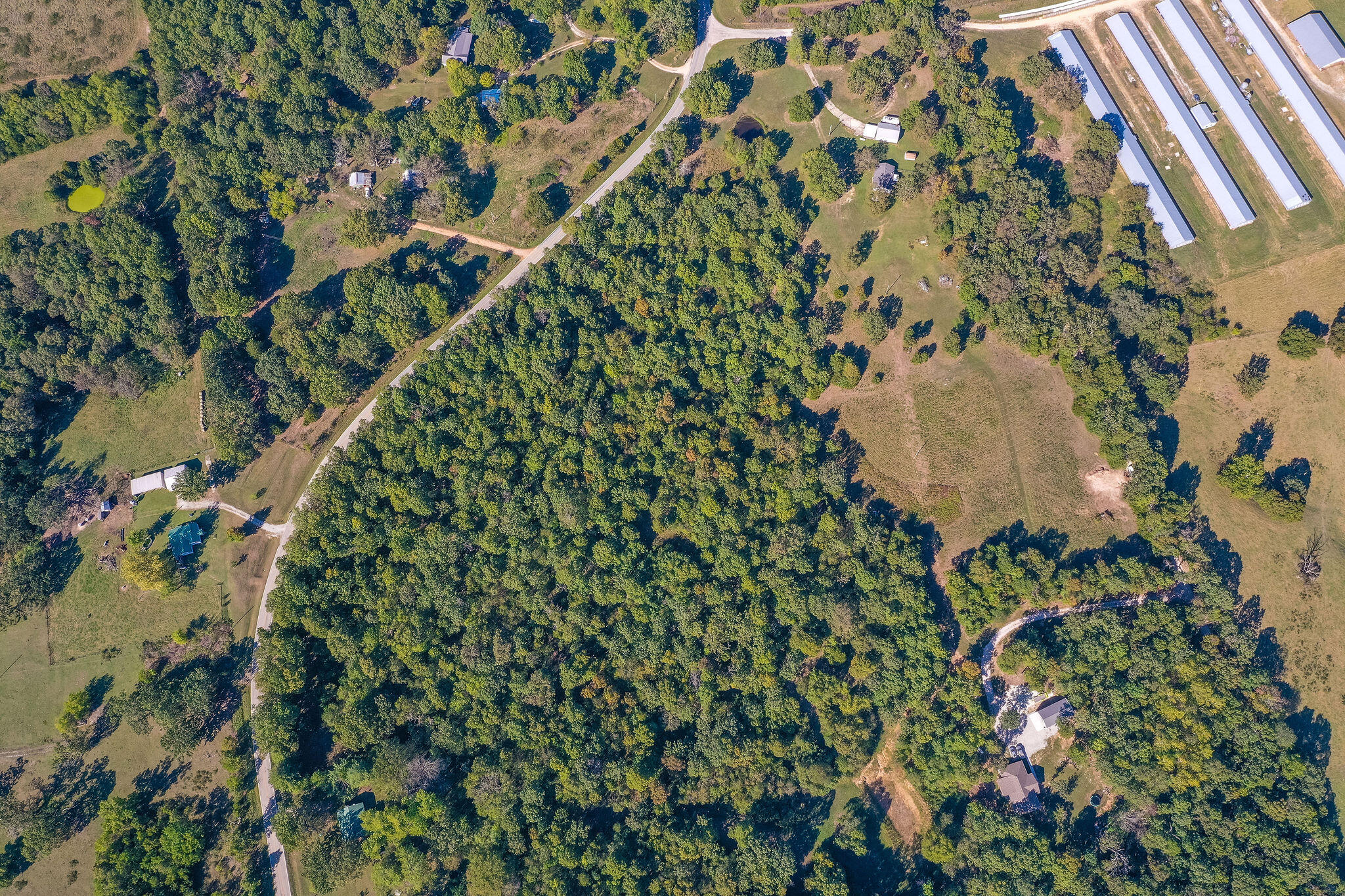 Photo 13 - Land for sale – Tbd  Farm Road 1150   Verona, MO