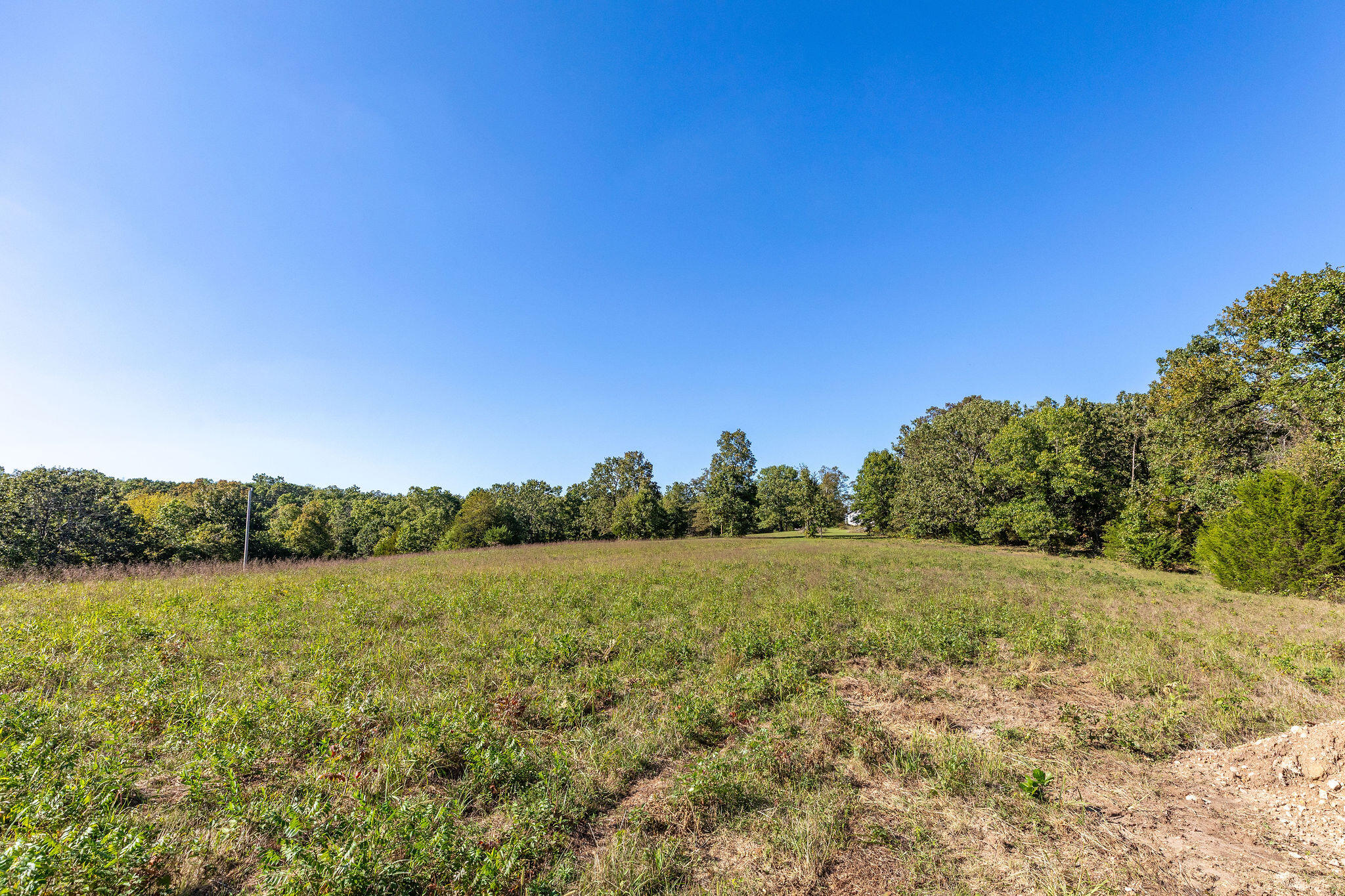 Photo 5 - Land for sale – Tbd  Farm Road 1150   Verona, MO