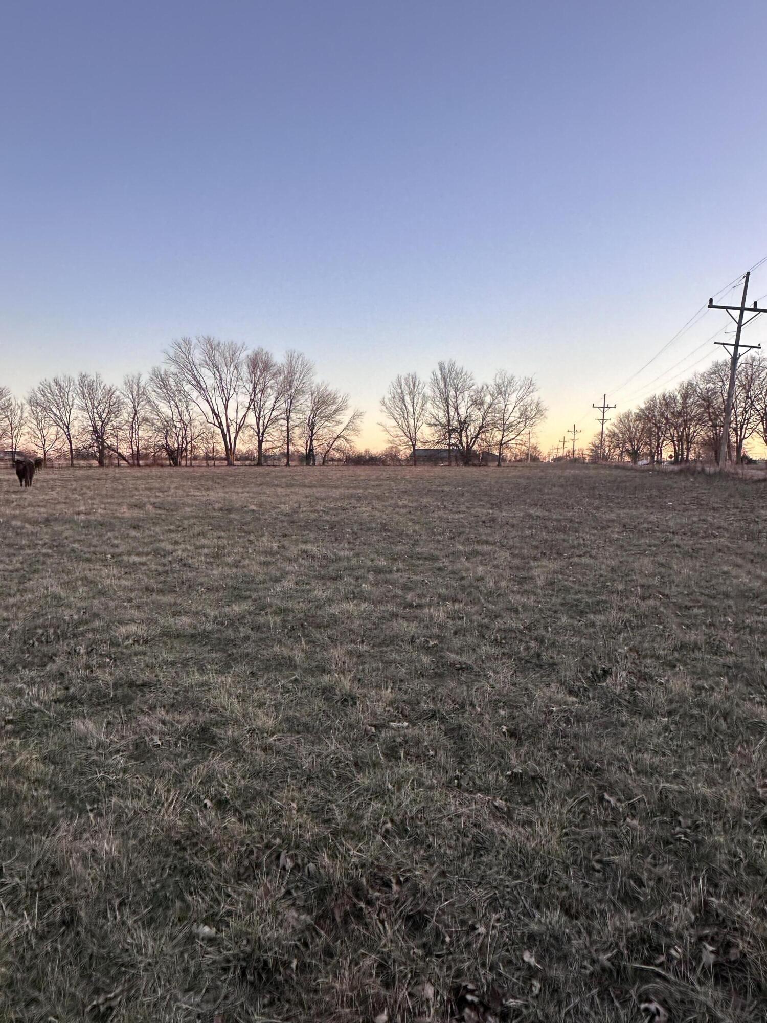 Photo 8 - Land for sale – 000  Civil War Road  Carthage, MO