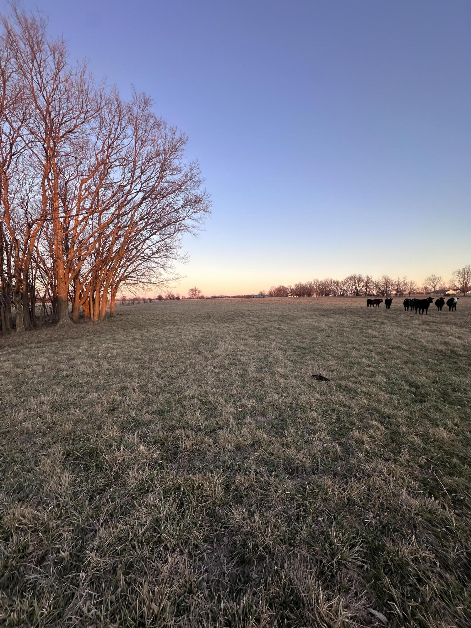 Photo 4 - Land for sale – 000  Civil War Road  Carthage, MO
