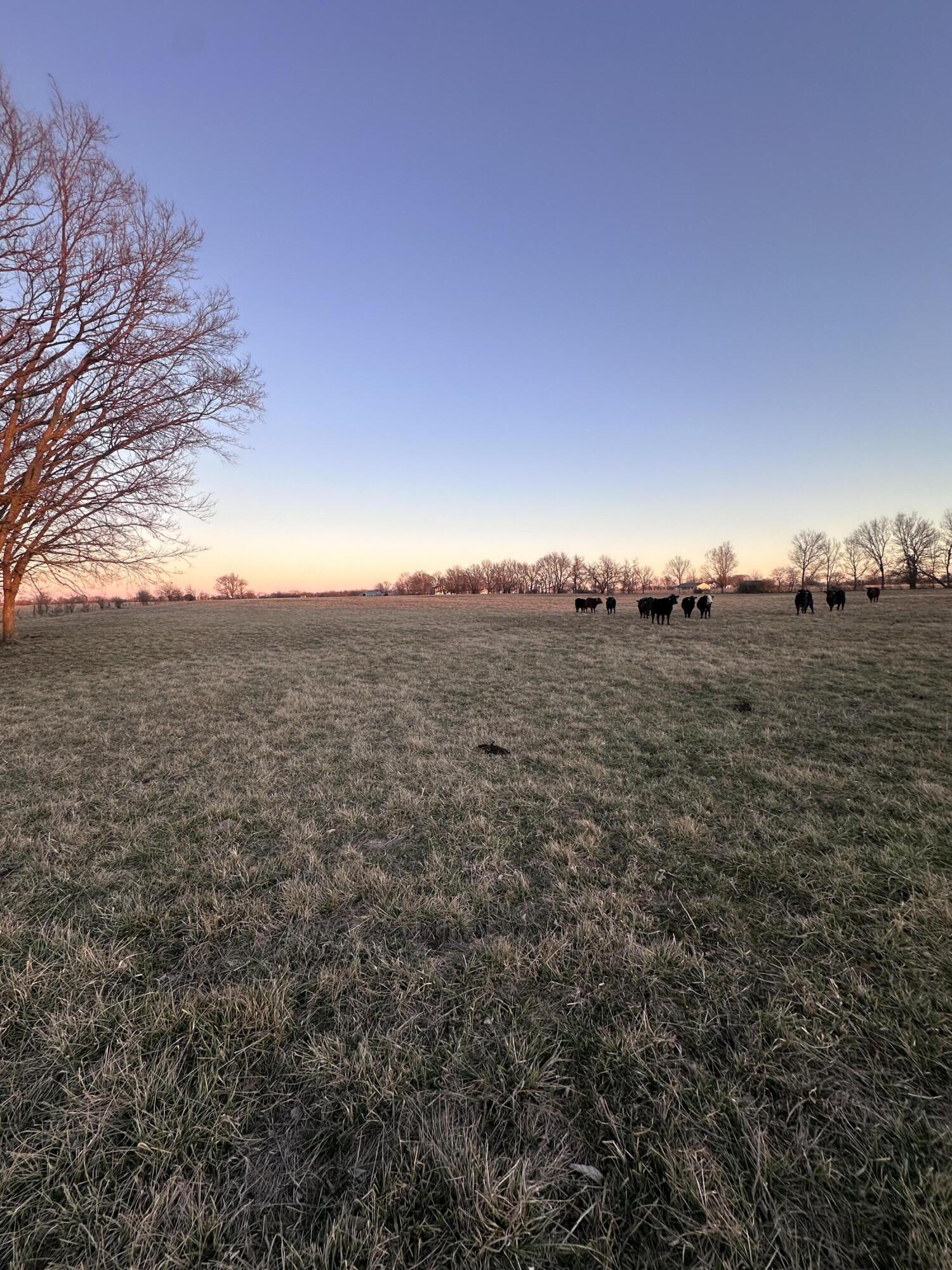 Photo 9 - Land for sale – 000  Civil War Road  Carthage, MO