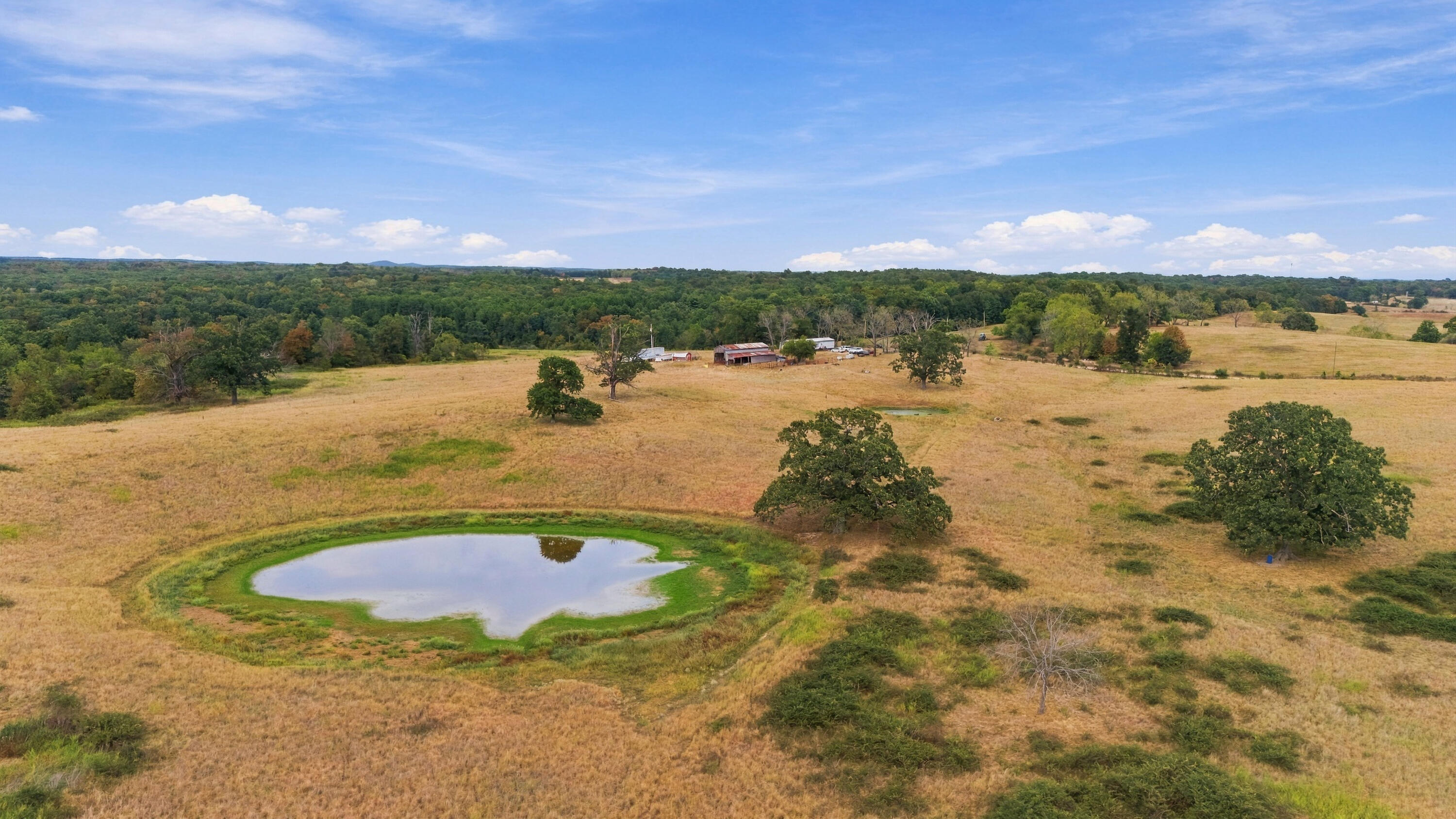 Photo 29 - Farm for sale – 3953  County Road 4990   Willow Springs, MO
