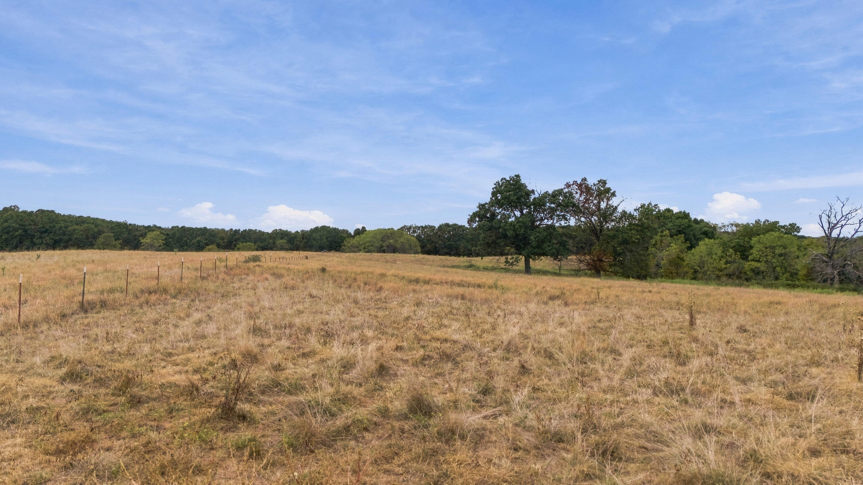 Photo 37 - Farm for sale – 3953  County Road 4990   Willow Springs, MO