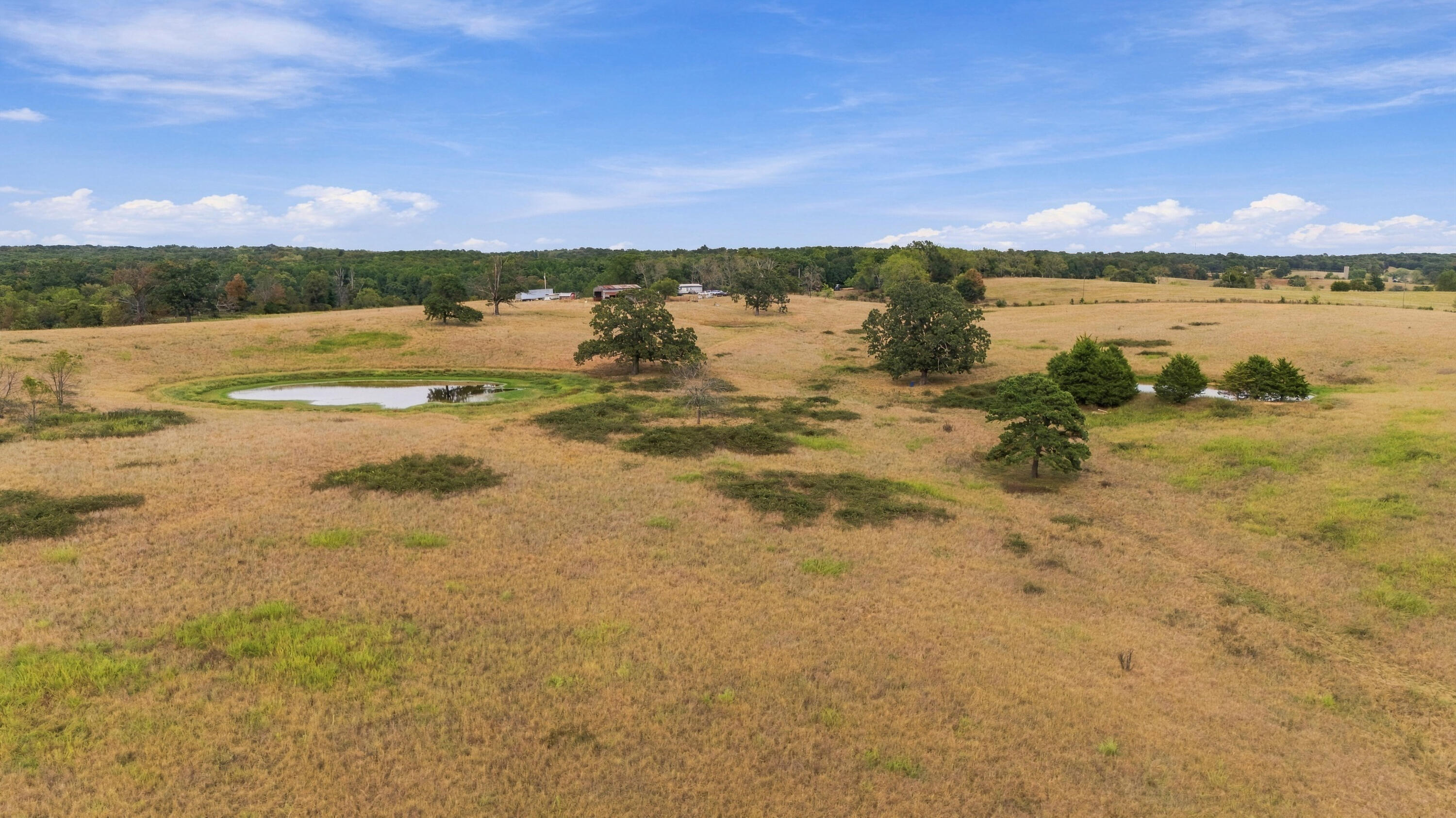 Photo 28 - Farm for sale – 3953  County Road 4990   Willow Springs, MO