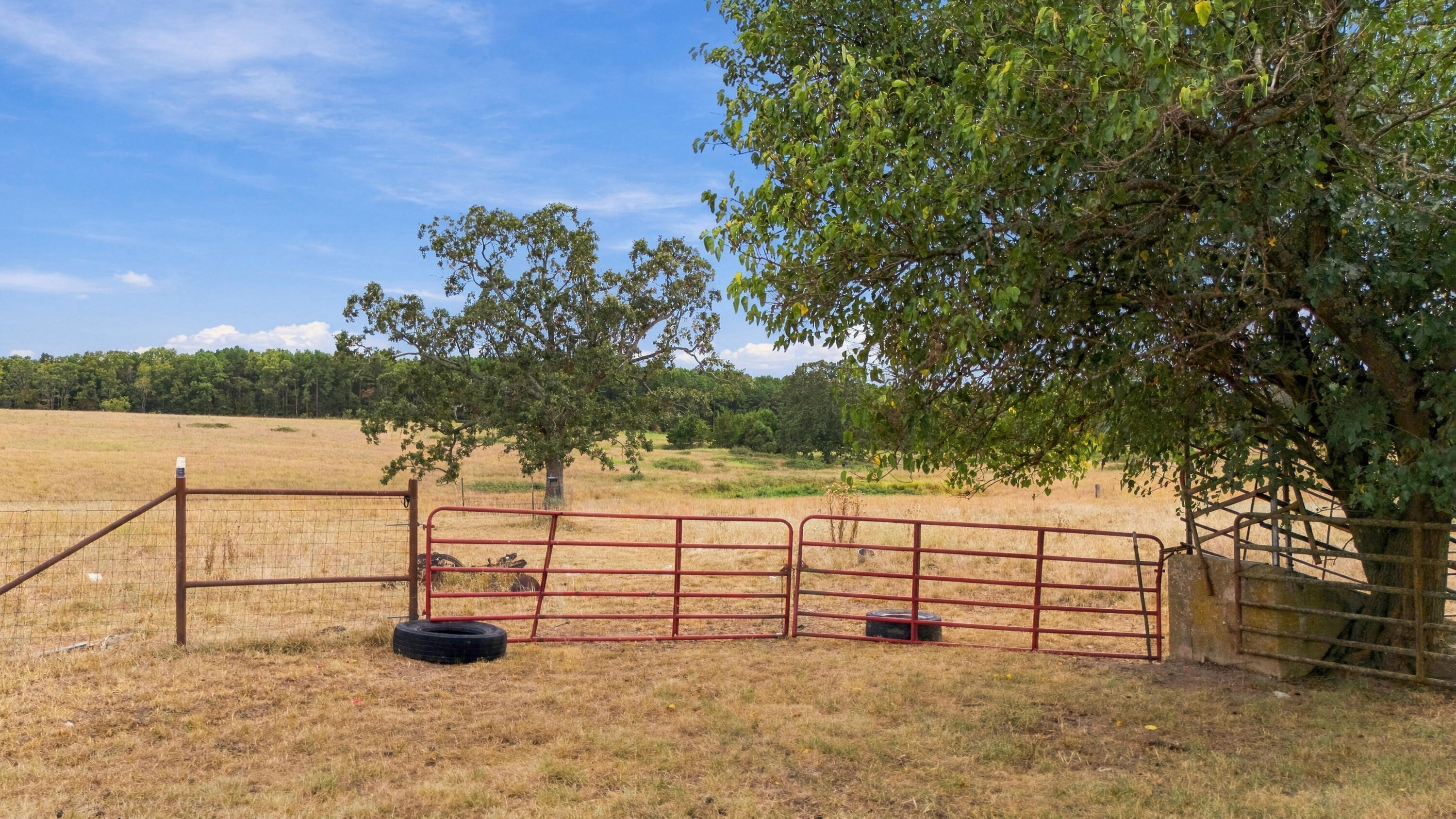 Photo 34 - Farm for sale – 3953  County Road 4990   Willow Springs, MO