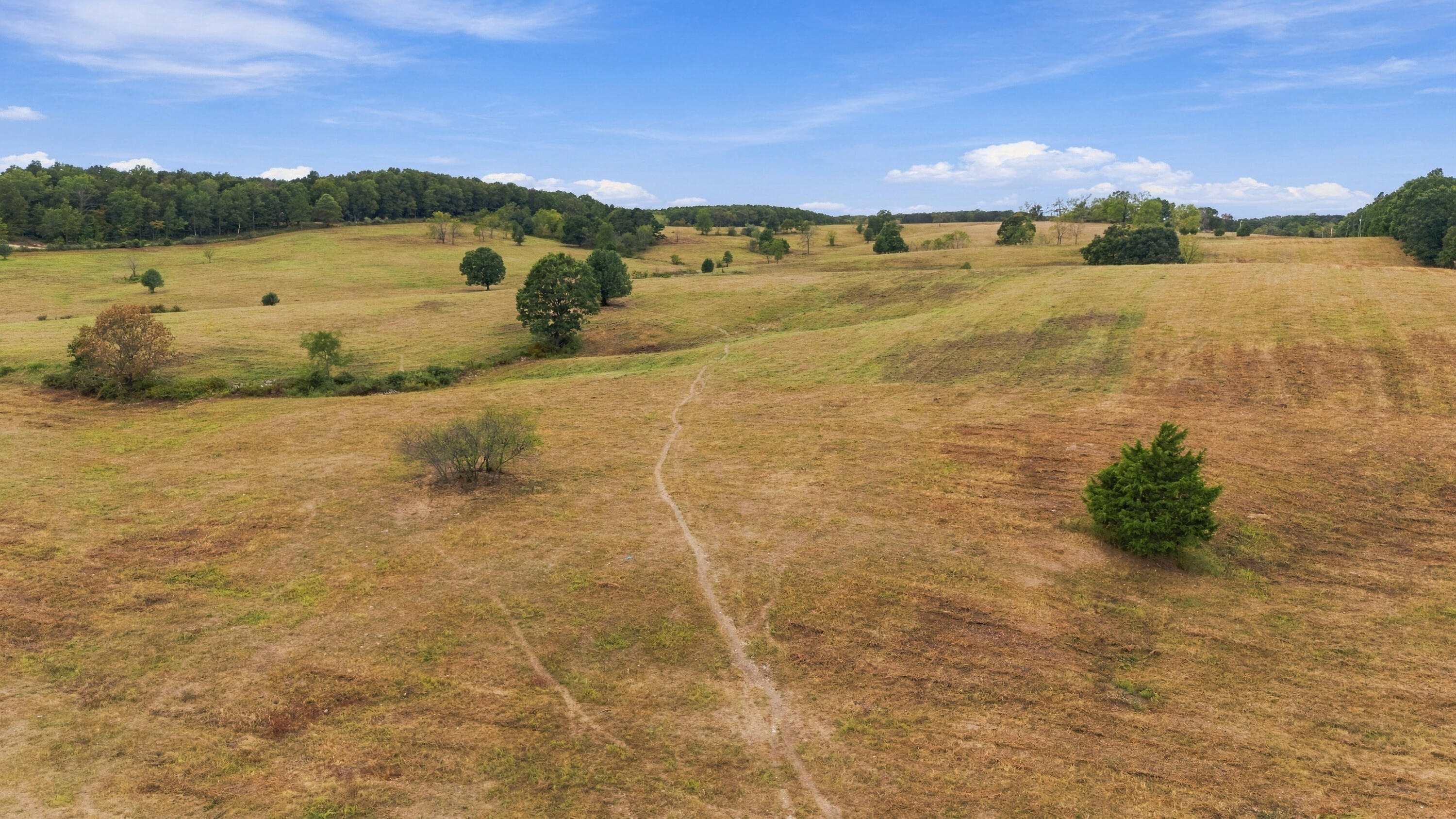 Photo 7 - Farm for sale – 3953  County Road 4990   Willow Springs, MO