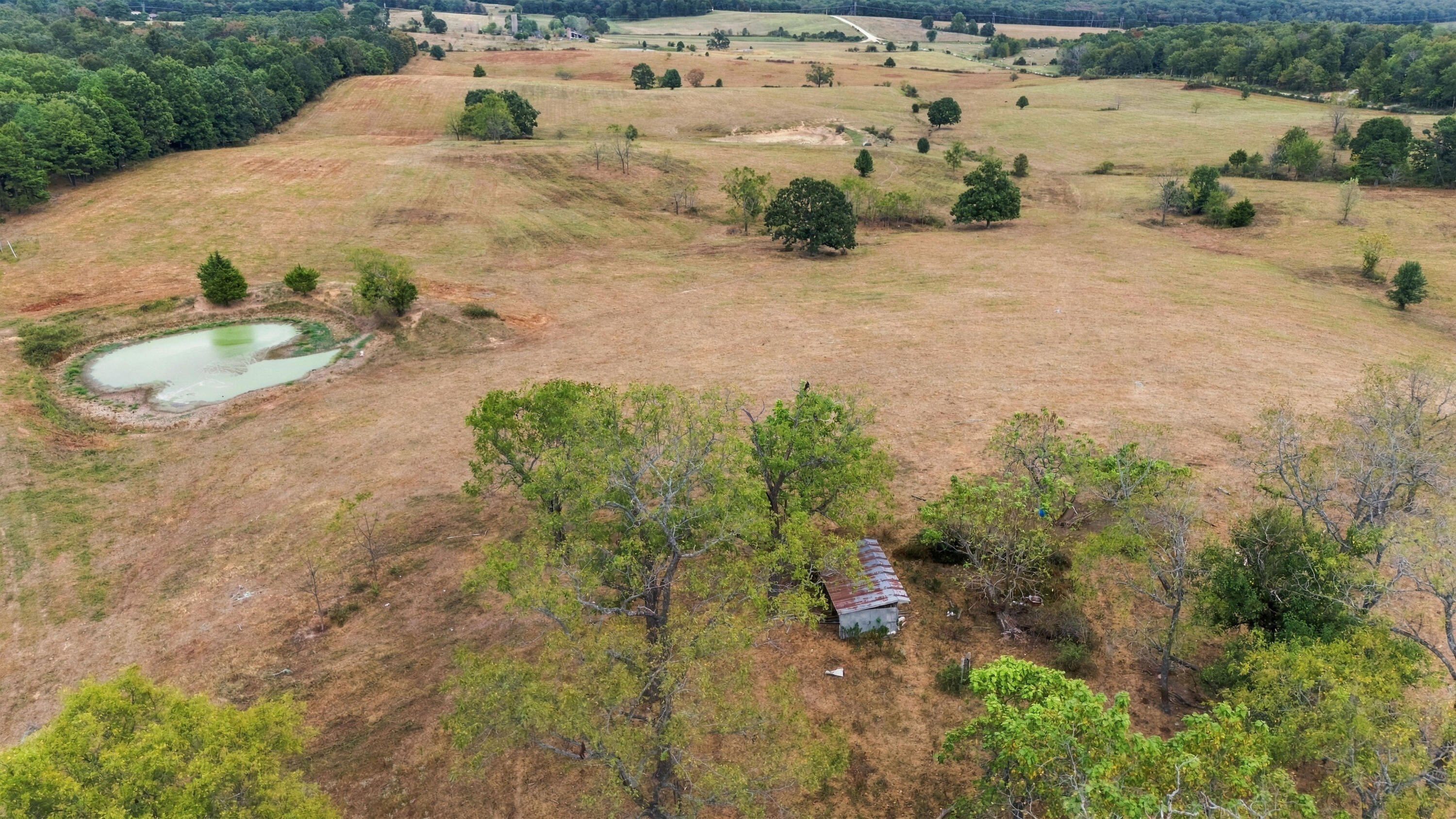 Photo 16 - Farm for sale – 3953  County Road 4990   Willow Springs, MO