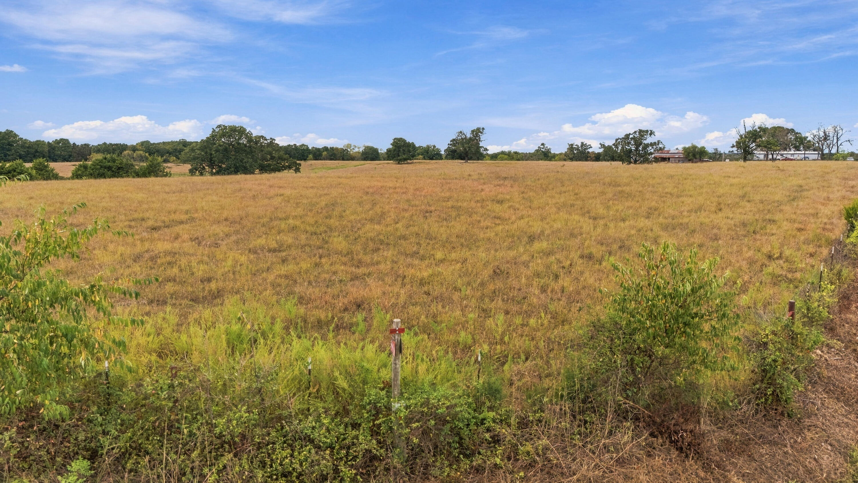 Photo 26 - Farm for sale – 3953  County Road 4990   Willow Springs, MO