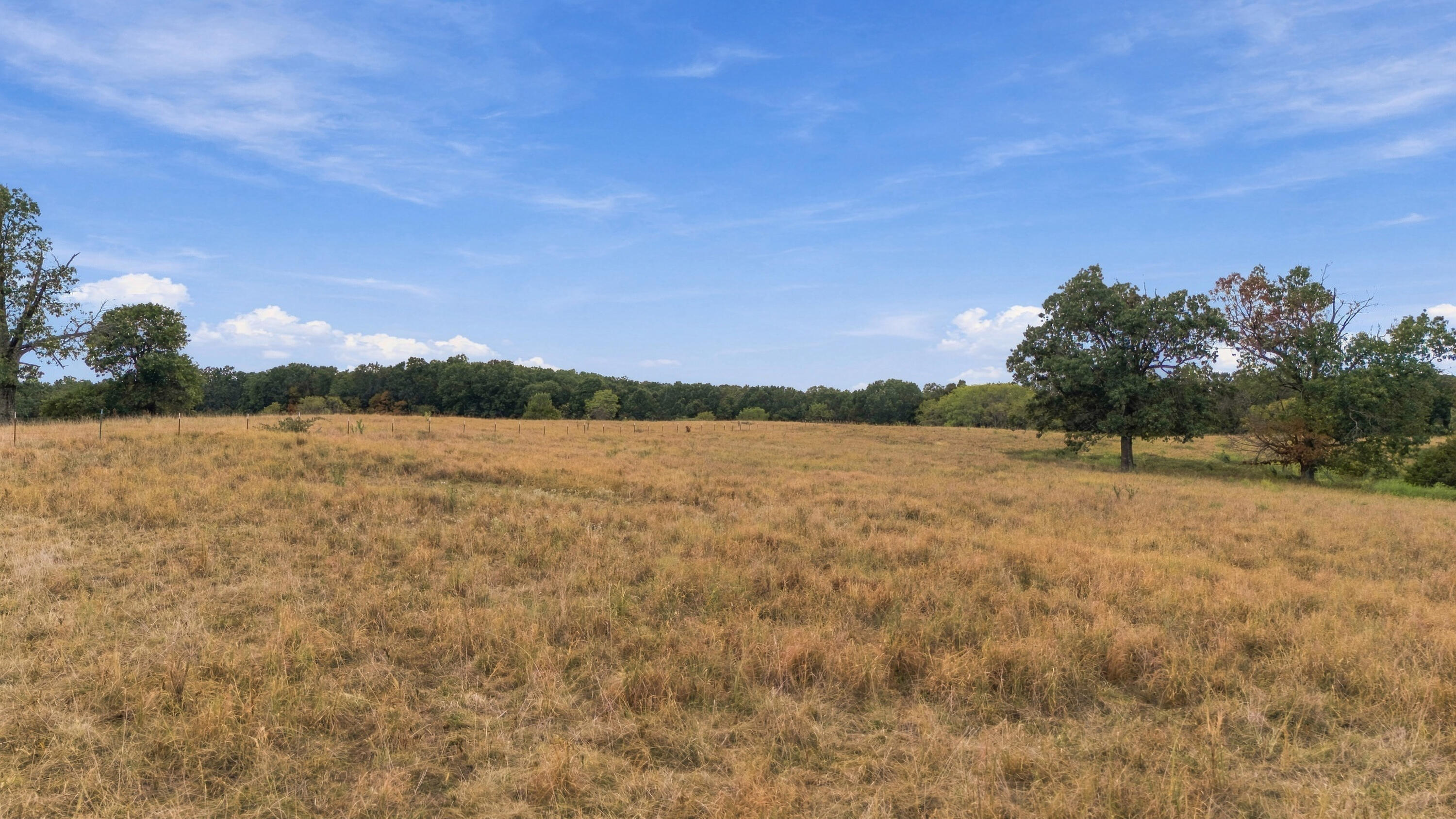 Photo 36 - Farm for sale – 3953  County Road 4990   Willow Springs, MO
