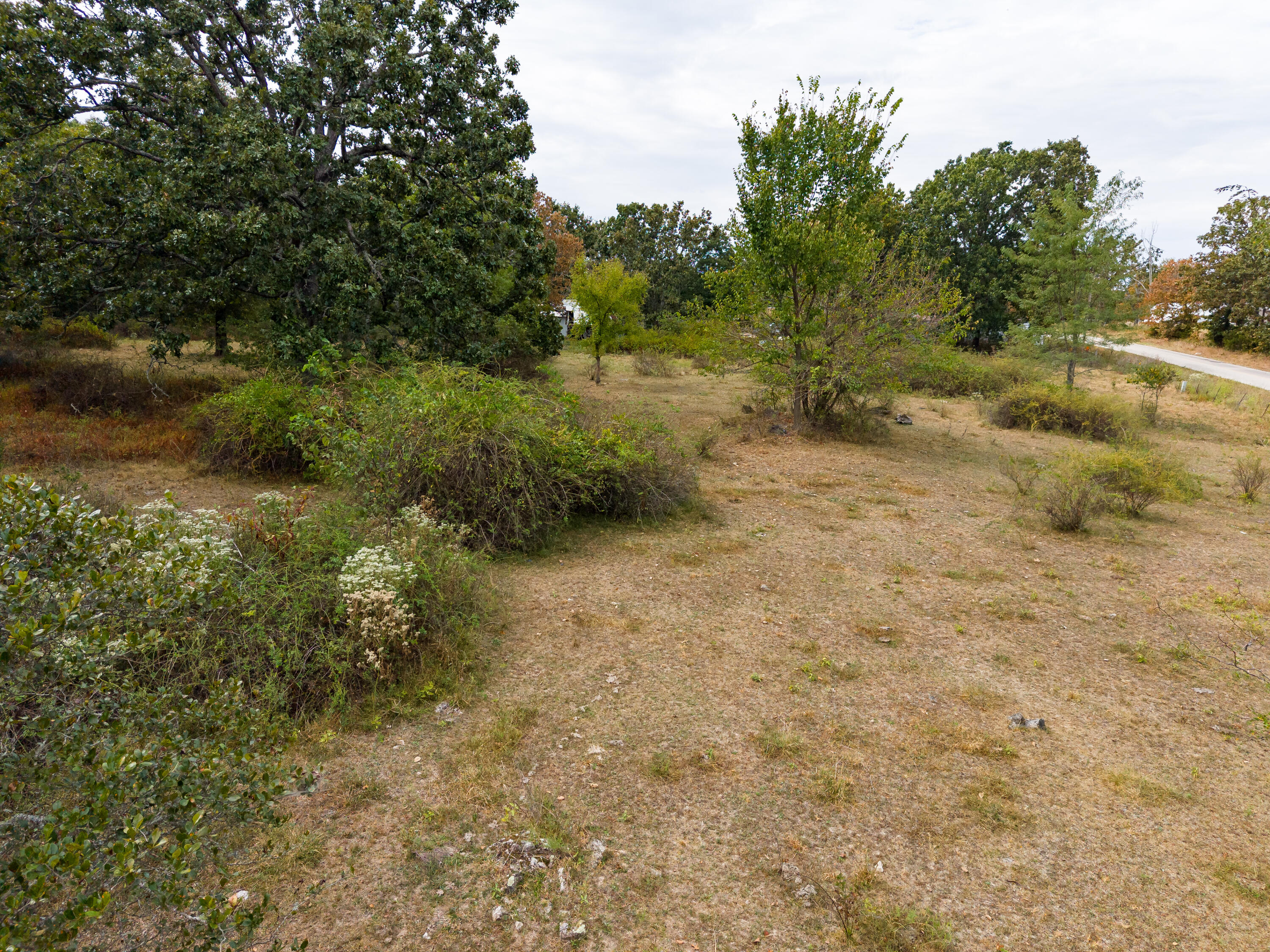 Photo 4 - Land for sale – 000  State Highway Bb   Hartville, MO