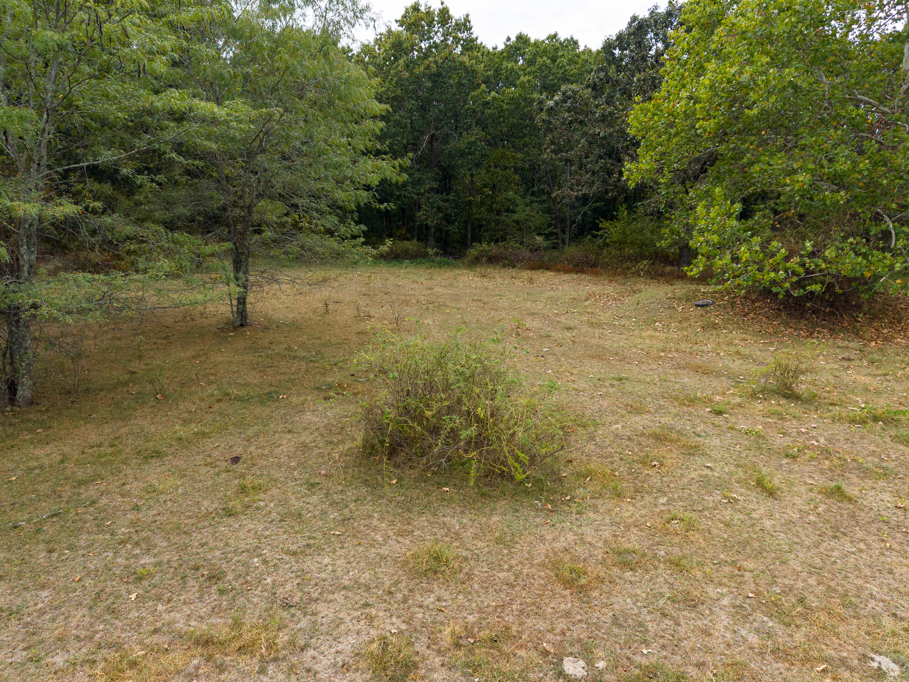 Photo 5 - Land for sale – 000  State Highway Bb   Hartville, MO
