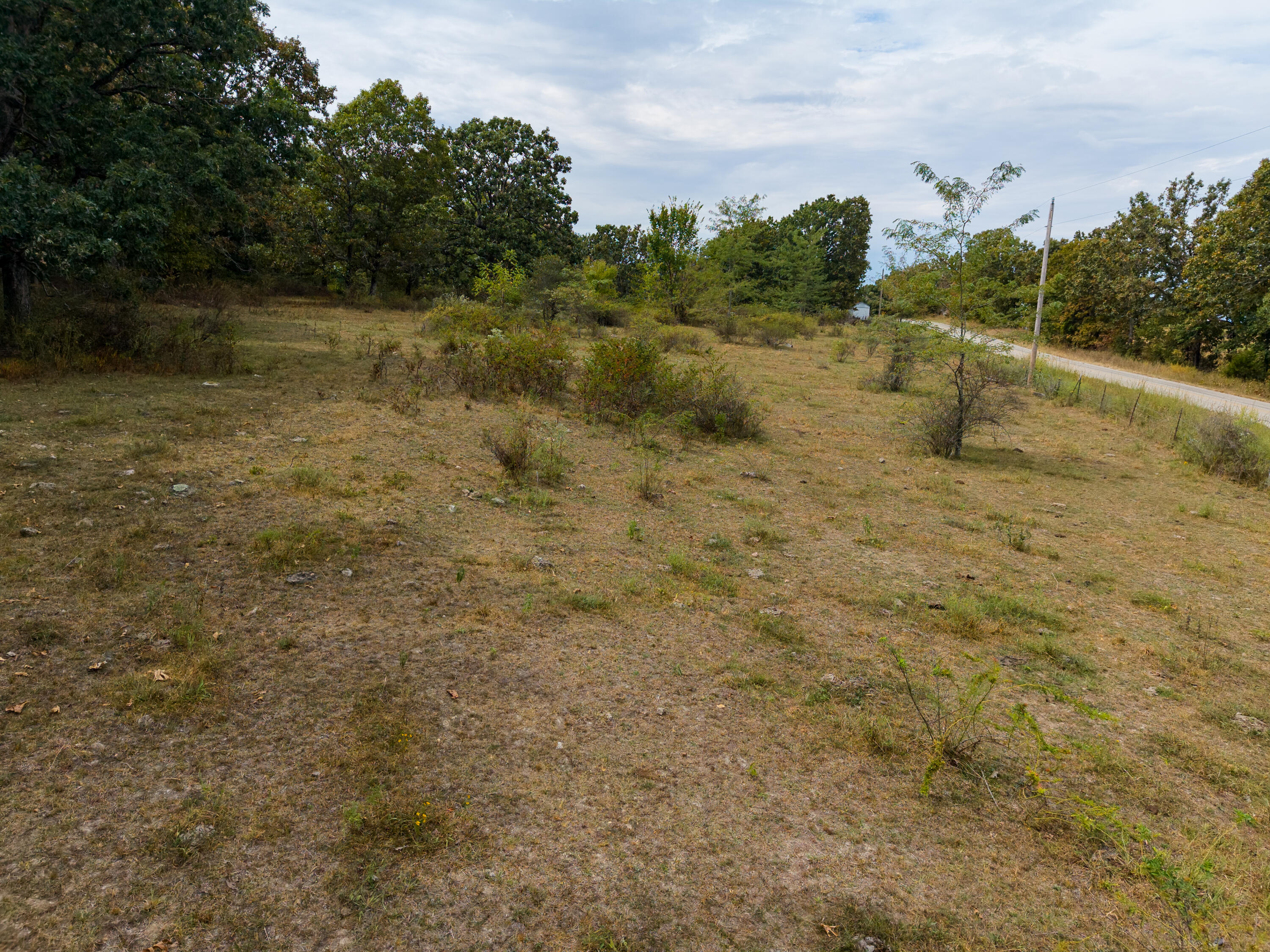 Photo 3 - Land for sale – 000  State Highway Bb   Hartville, MO