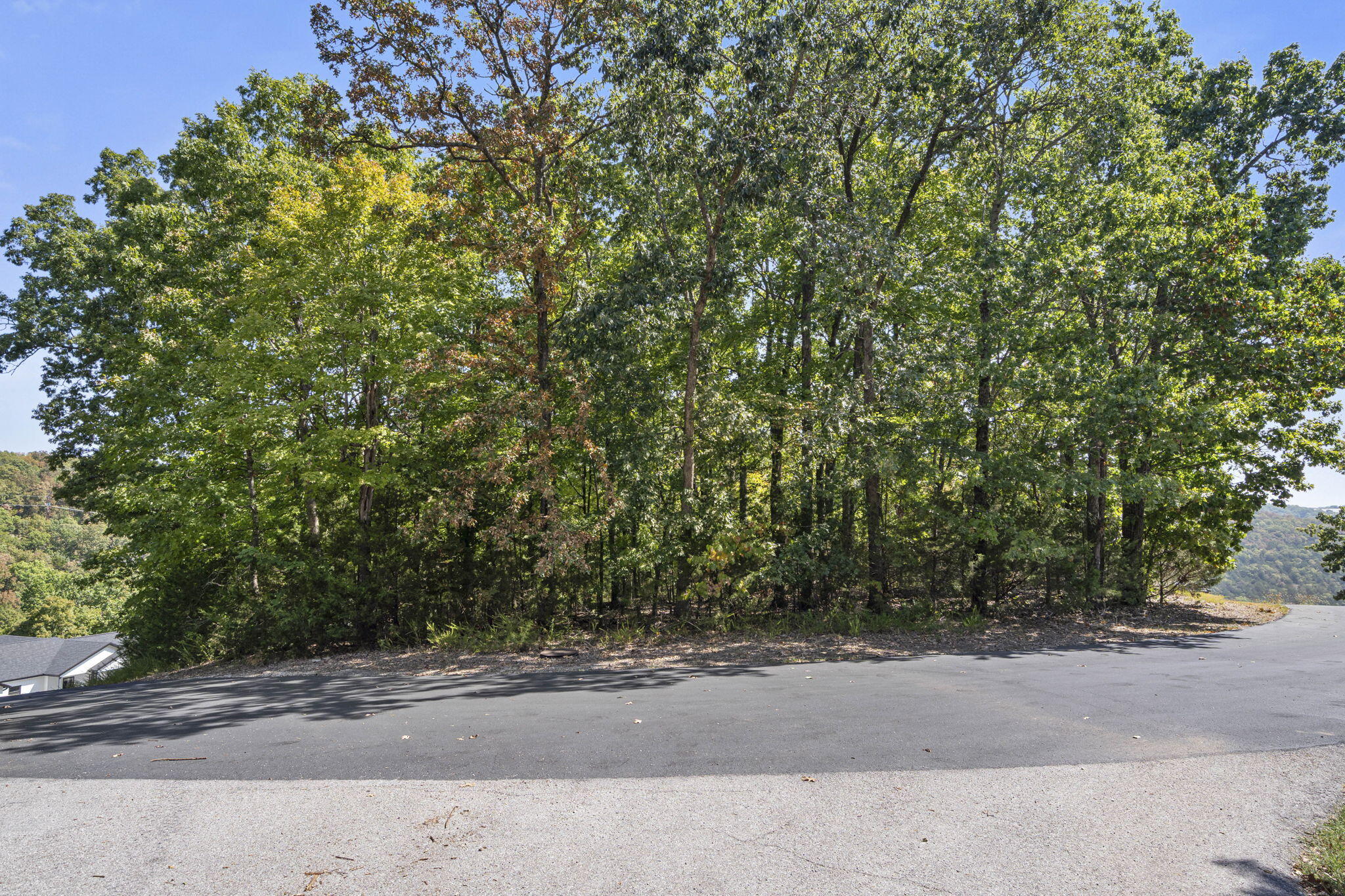 Photo 14 - Land for sale – 232-234  Bethany Lane  Branson West, MO