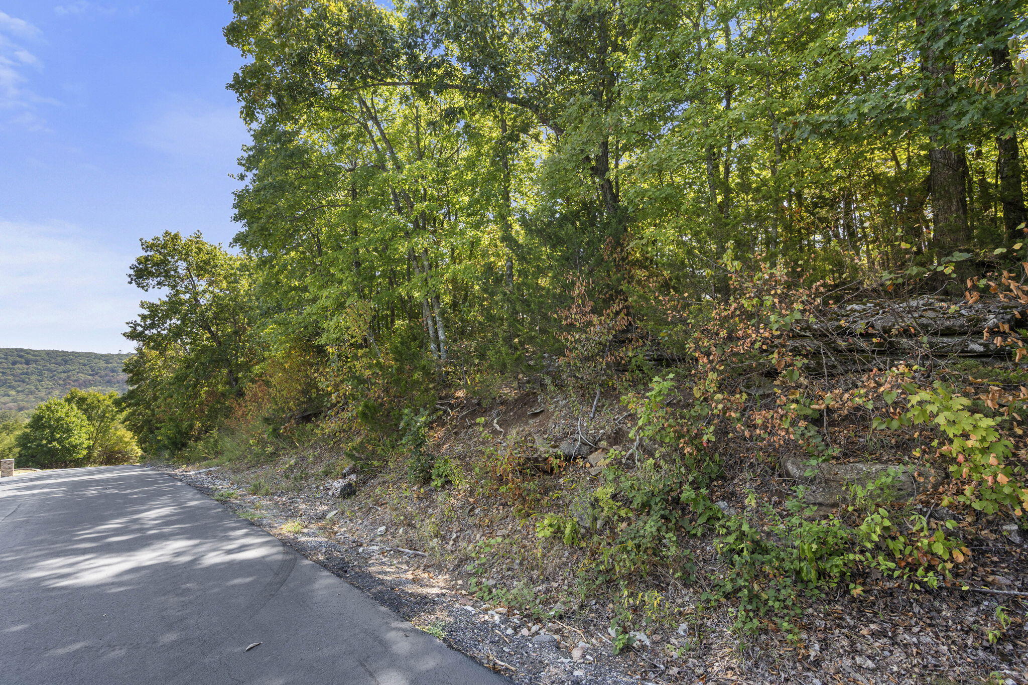 Photo 29 - Land for sale – 232-234  Bethany Lane  Branson West, MO