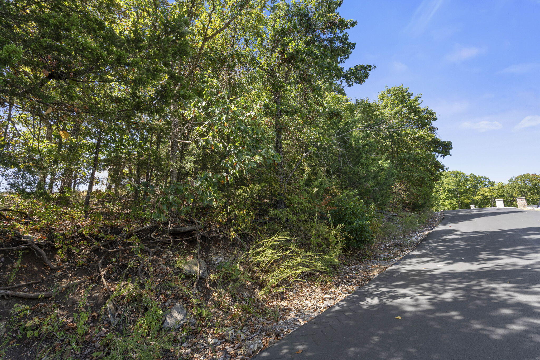 Photo 15 - Land for sale – 232-234  Bethany Lane  Branson West, MO