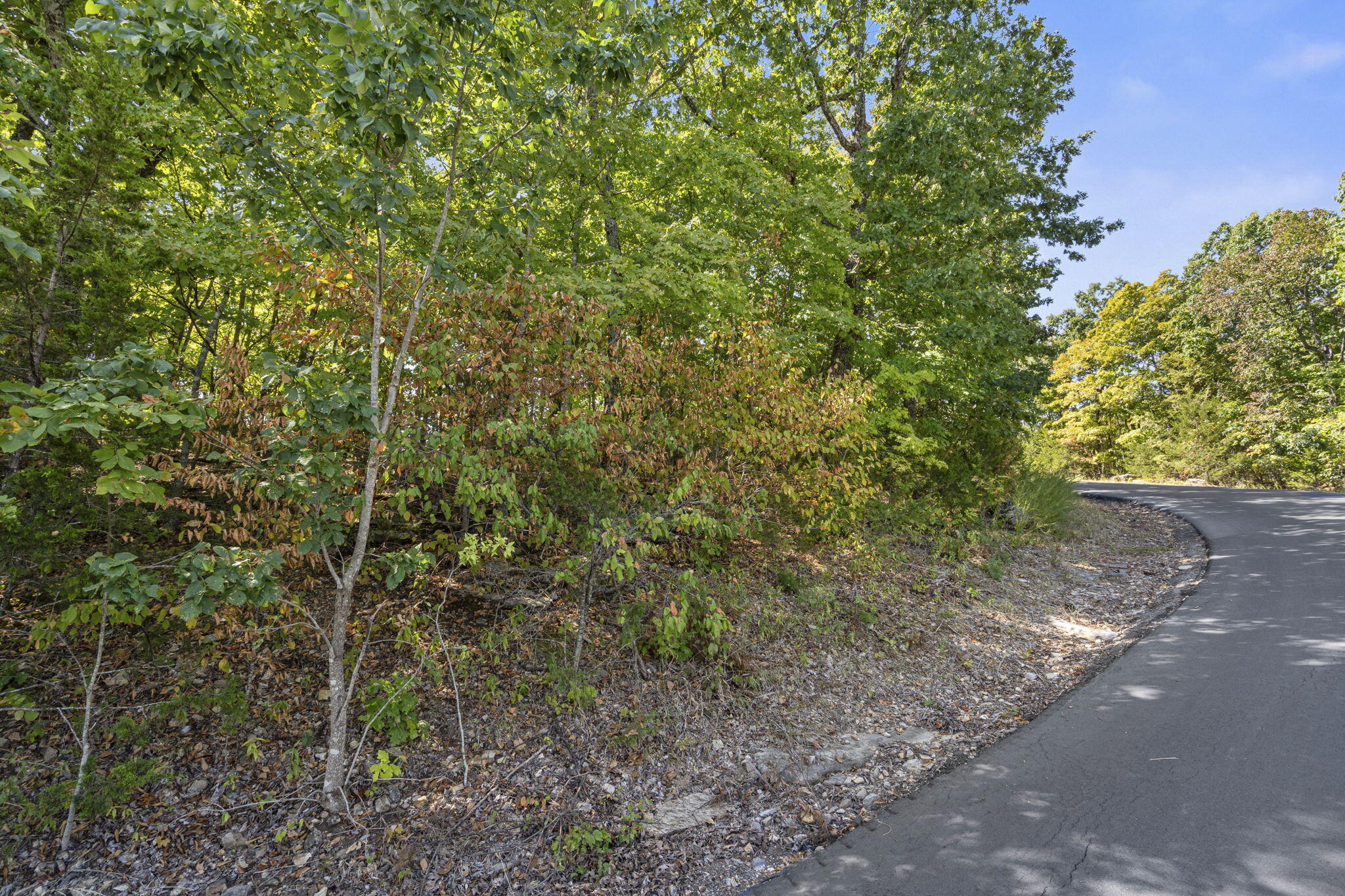 Photo 17 - Land for sale – 232-234  Bethany Lane  Branson West, MO