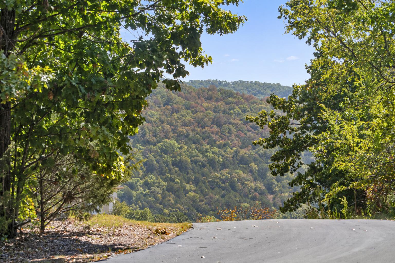 Photo 5 - Land for sale – 232-234  Bethany Lane  Branson West, MO