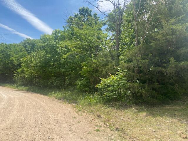 Photo 7 - Land for sale – 001  Flint Hollow Road   Seymour, MO