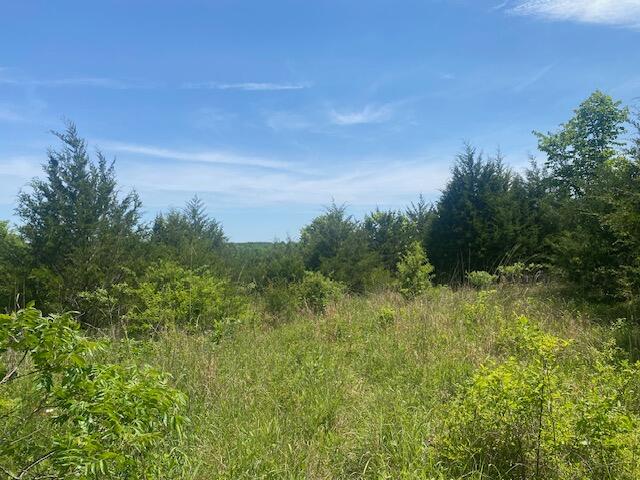 Land for sale – 001  Flint Hollow Road   Seymour, MO