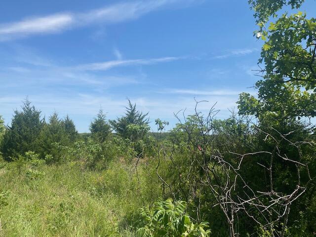 Photo 3 - Land for sale – 001  Flint Hollow Road   Seymour, MO