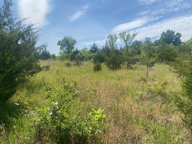 Photo 4 - Land for sale – 001  Flint Hollow Road   Seymour, MO