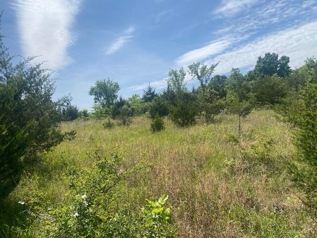 Photo 6 - Land for sale – 001  Flint Hollow Road   Seymour, MO