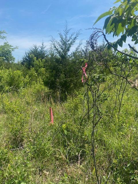 Photo 2 - Land for sale – 001  Flint Hollow Road   Seymour, MO
