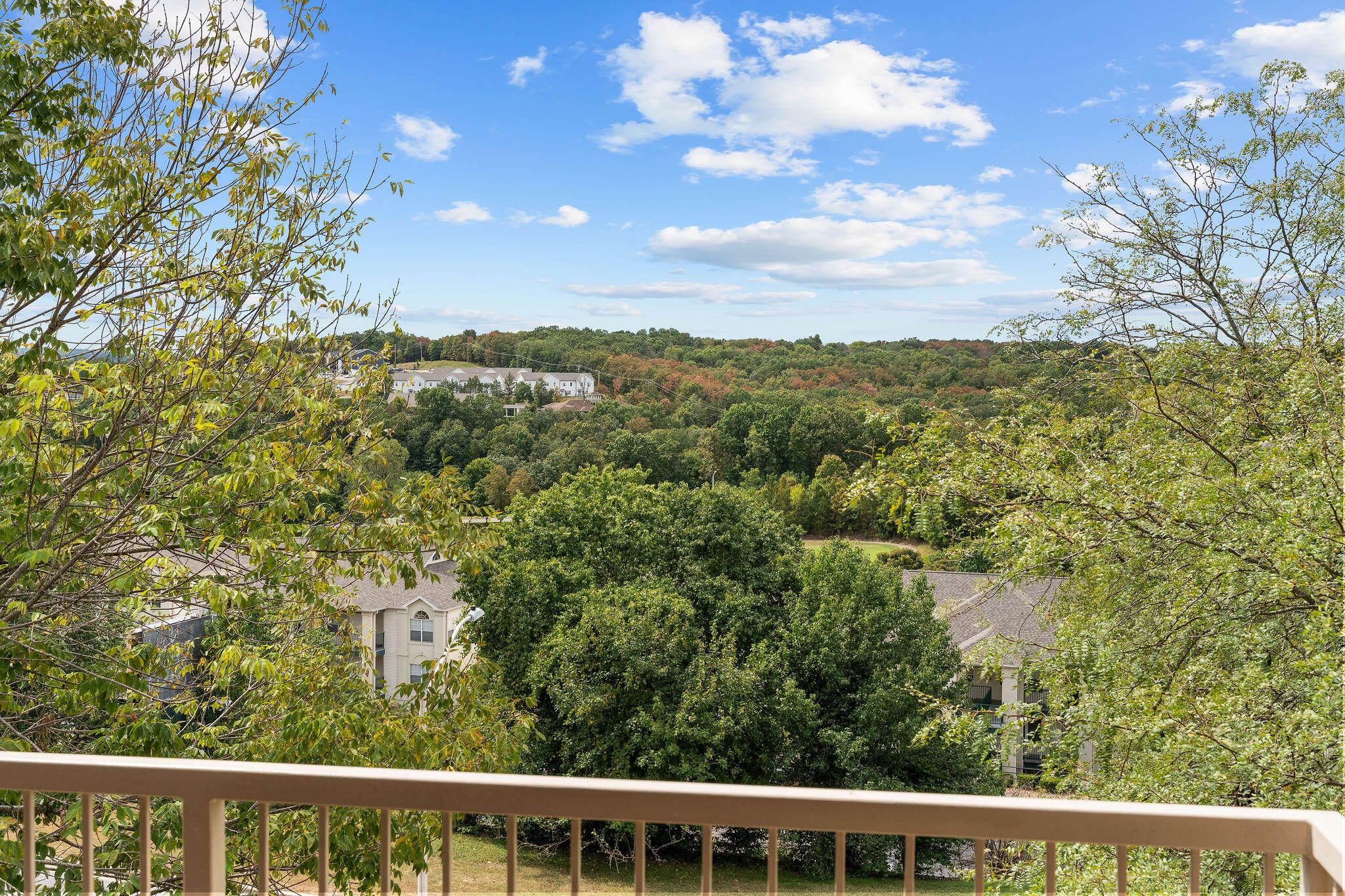 Photo 4 - Residential for sale – 350 S Wildwood Drive  Branson, MO