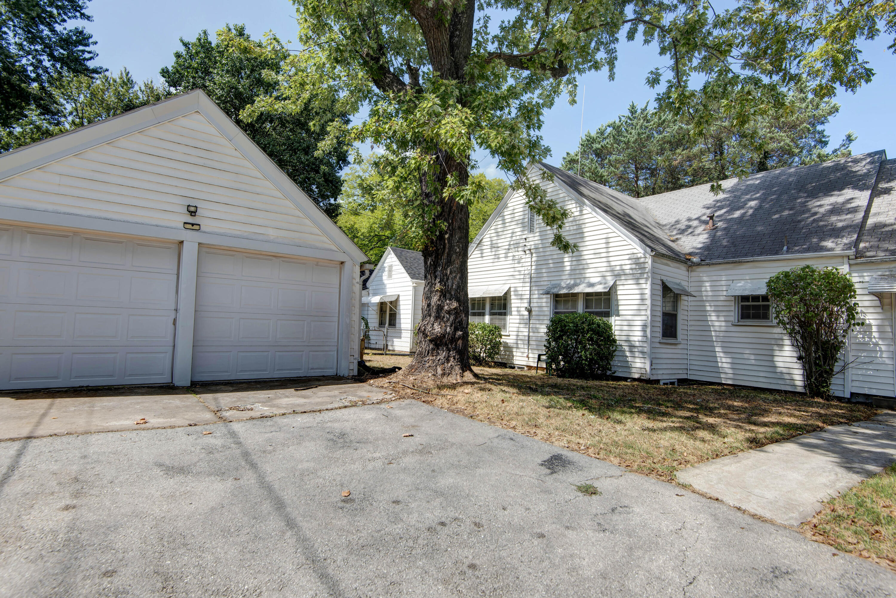 Photo 4 - Residential for sale – 1126 E Sunshine Street  Springfield, MO