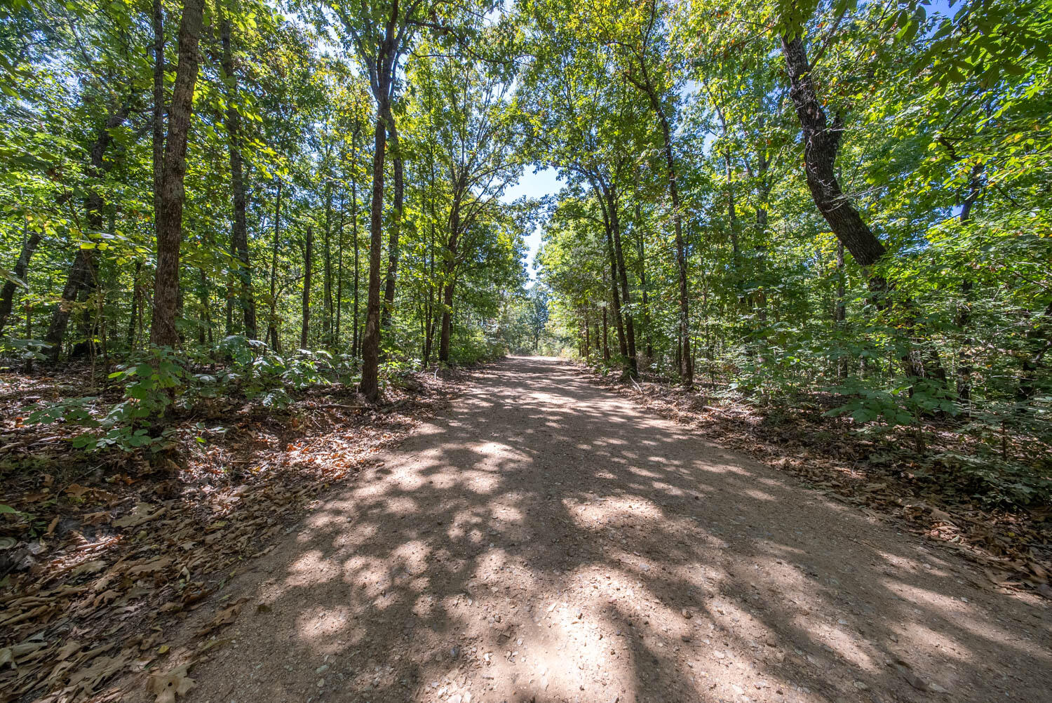Photo 5 - Land for sale – 000  Valley View Trail  Williford, AR