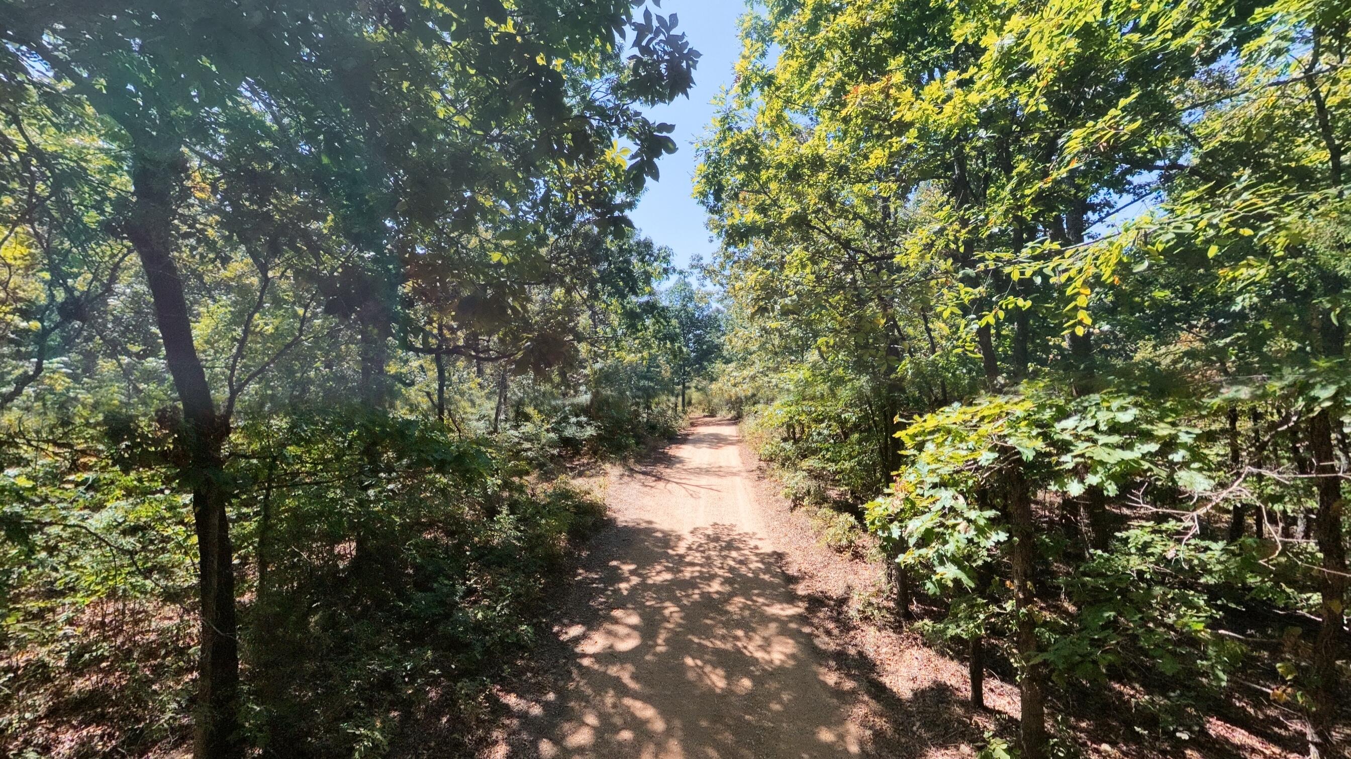 Photo 13 - Land for sale – 000  Valley View Trail  Williford, AR