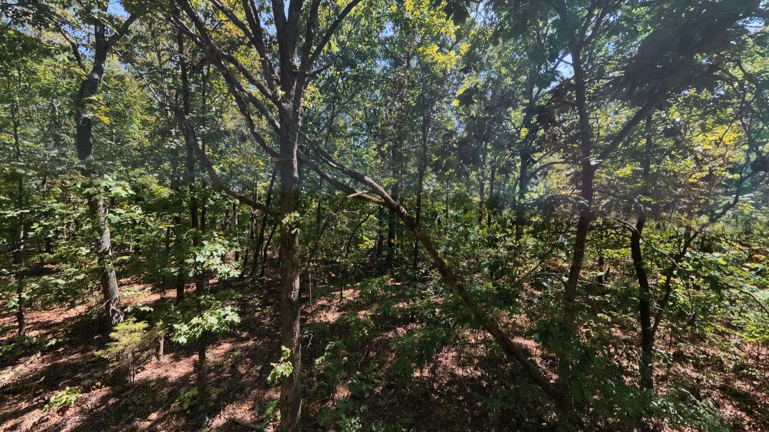Photo 15 - Land for sale – 000  Valley View Trail  Williford, AR
