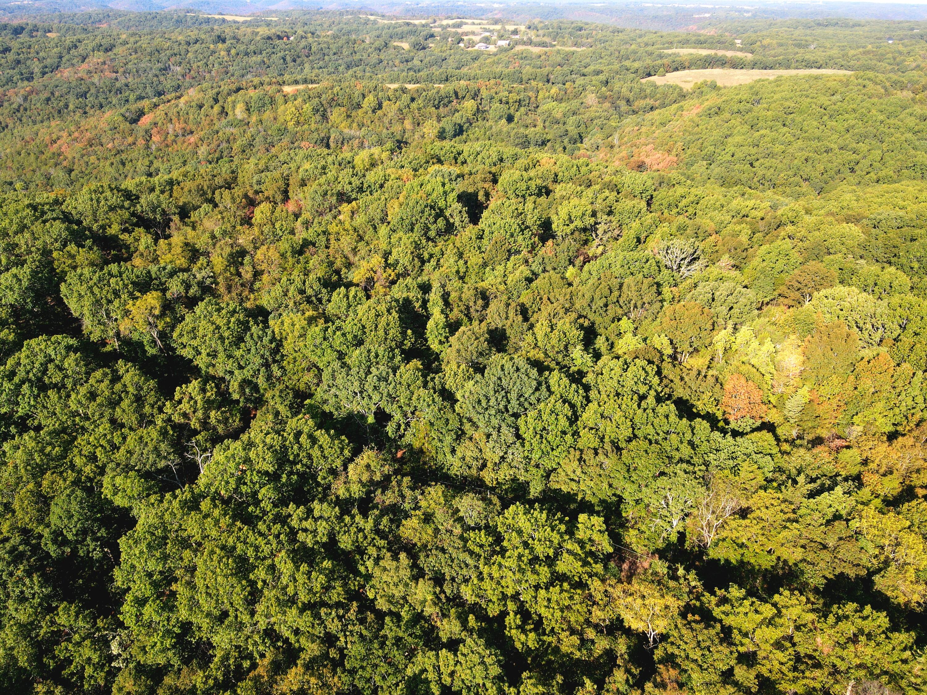 Photo 11 - Land for sale – Lot 2  Whispering Windings Court   Walnut Shade, MO