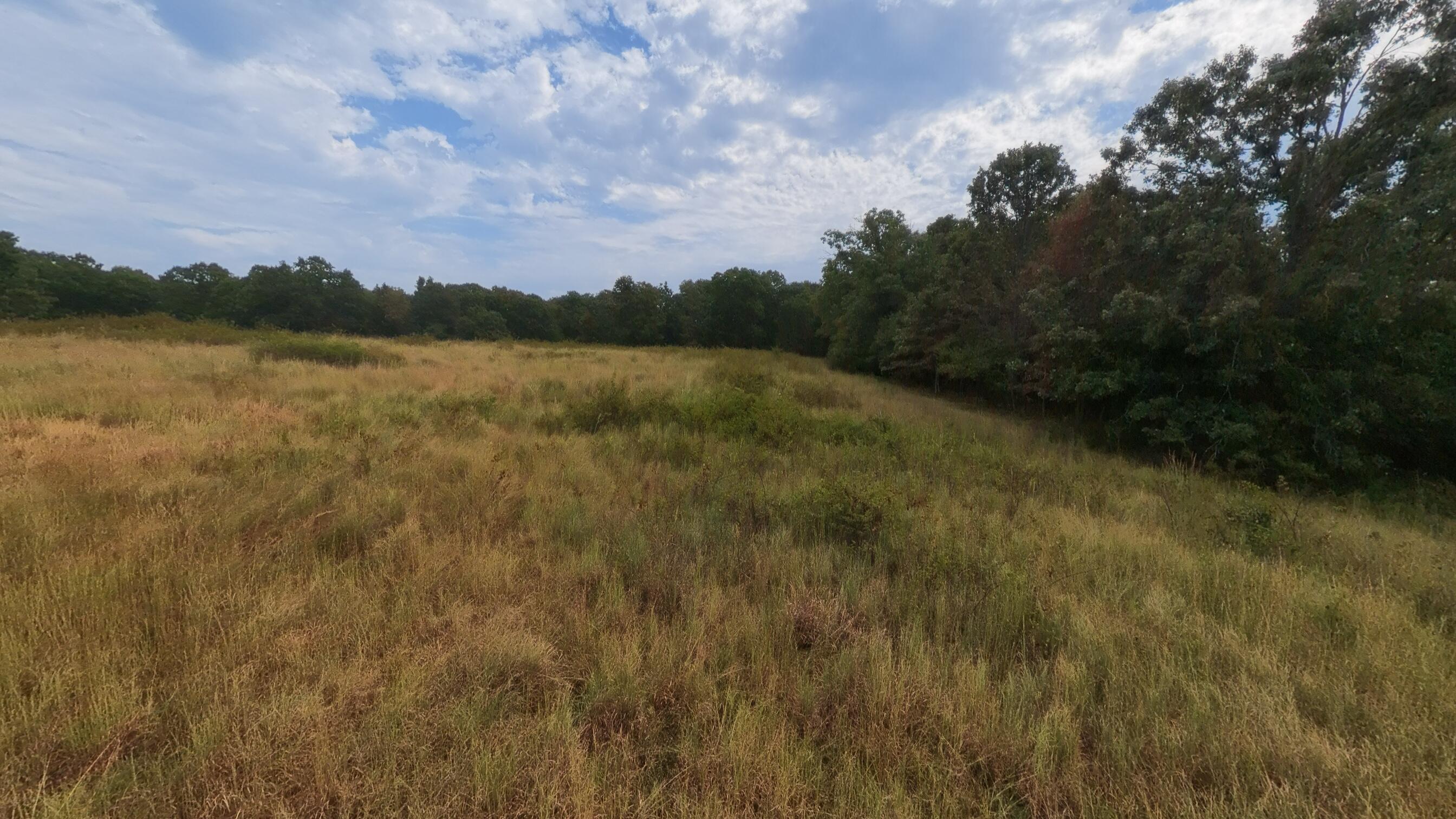 Photo 44 - Residential for sale – 3010  County Road 5640   Willow Springs, MO