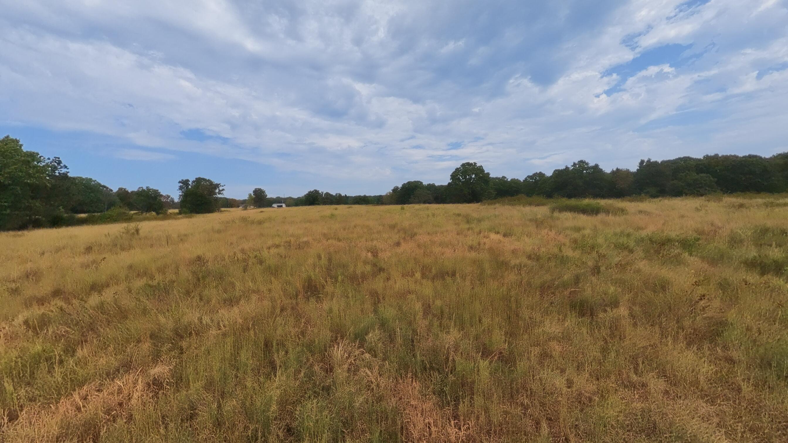 Photo 43 - Residential for sale – 3010  County Road 5640   Willow Springs, MO