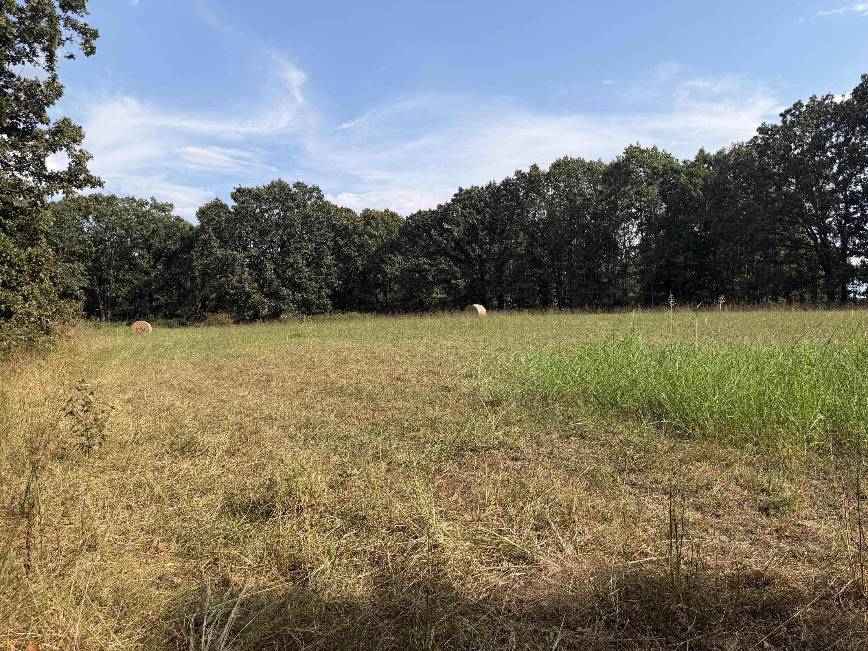 Photo 40 - Residential for sale – 1724  Liberty Road  Rogersville, MO