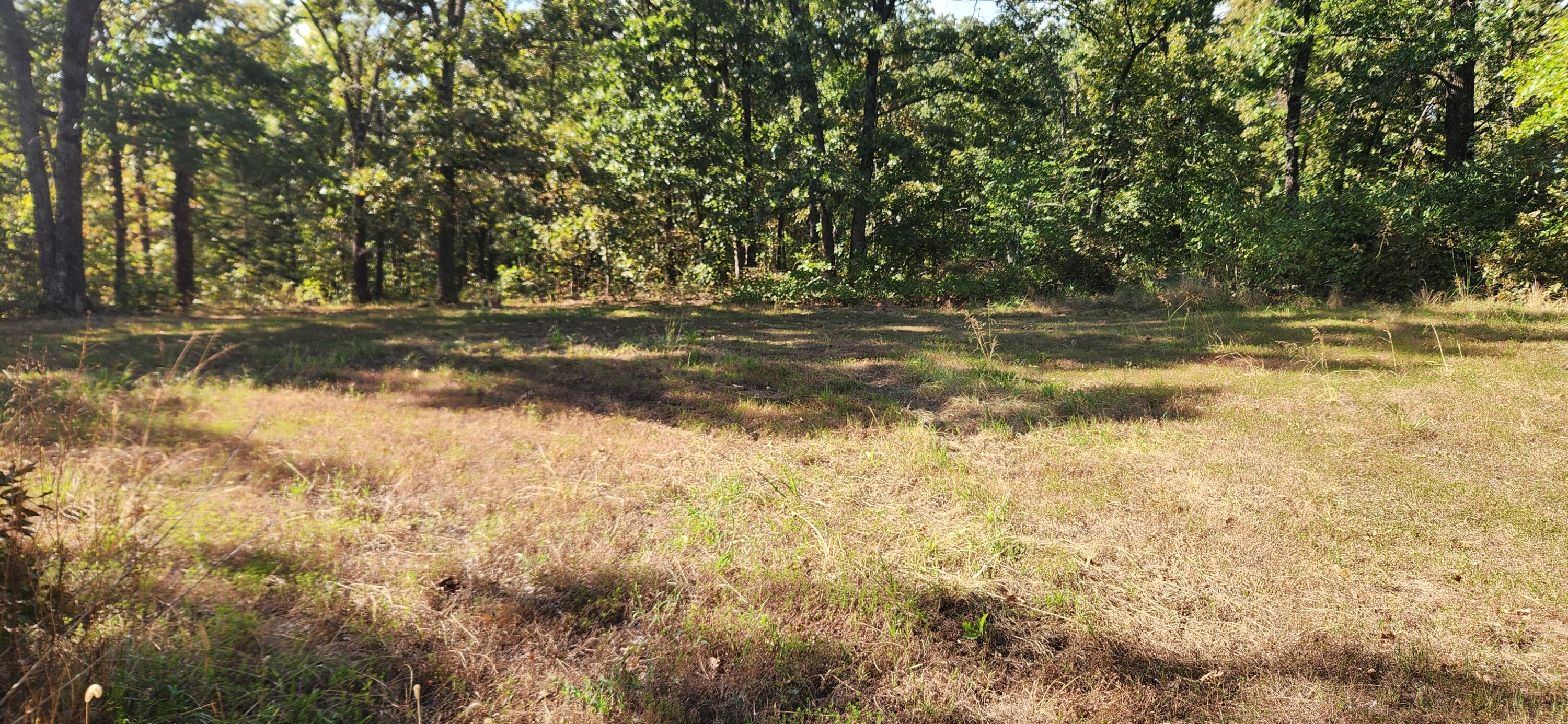 Photo 4 - Land for sale – 000 S 2125 Road  Stockton, MO